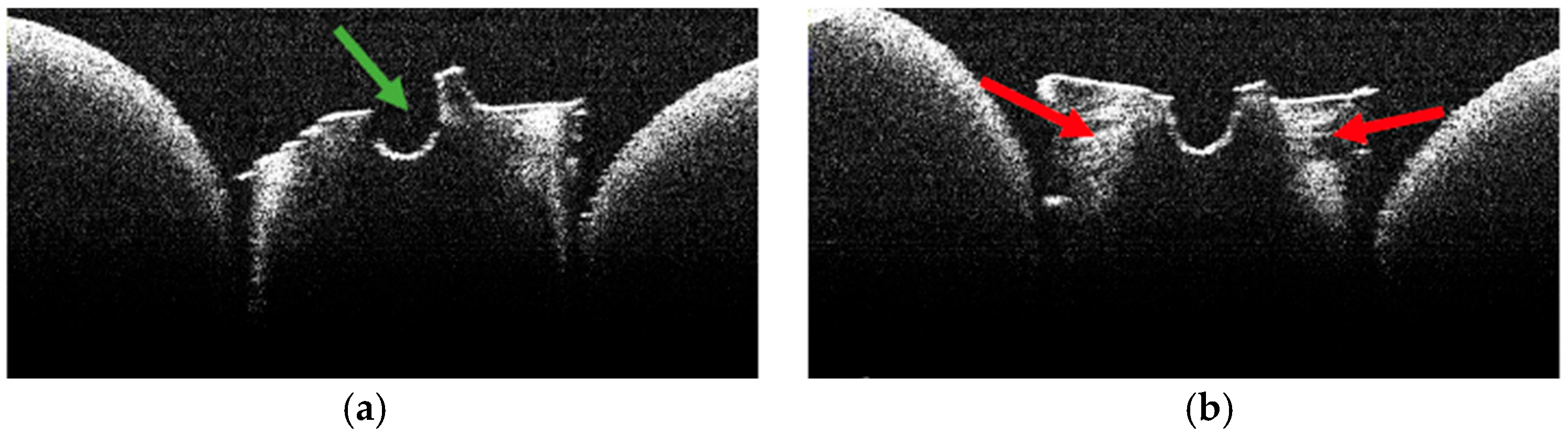 Diagnostics 15 03083 g012