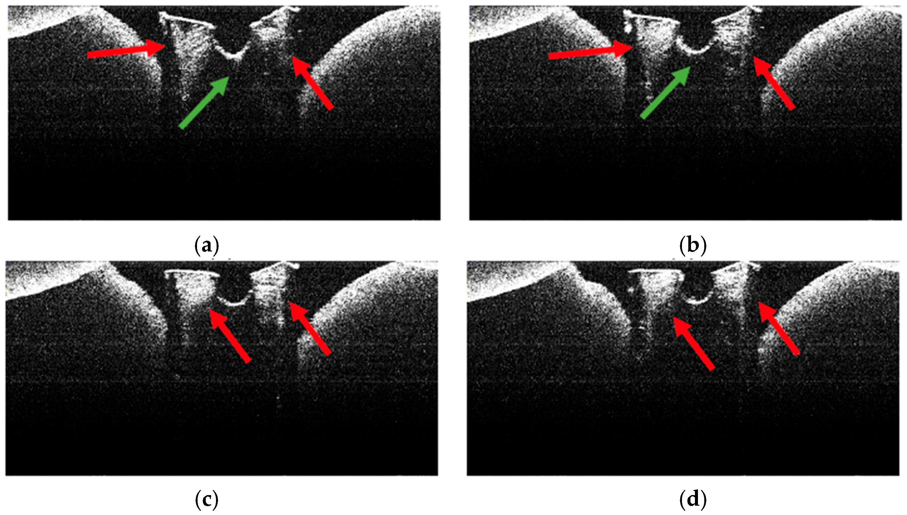 Diagnostics 15 03083 g013