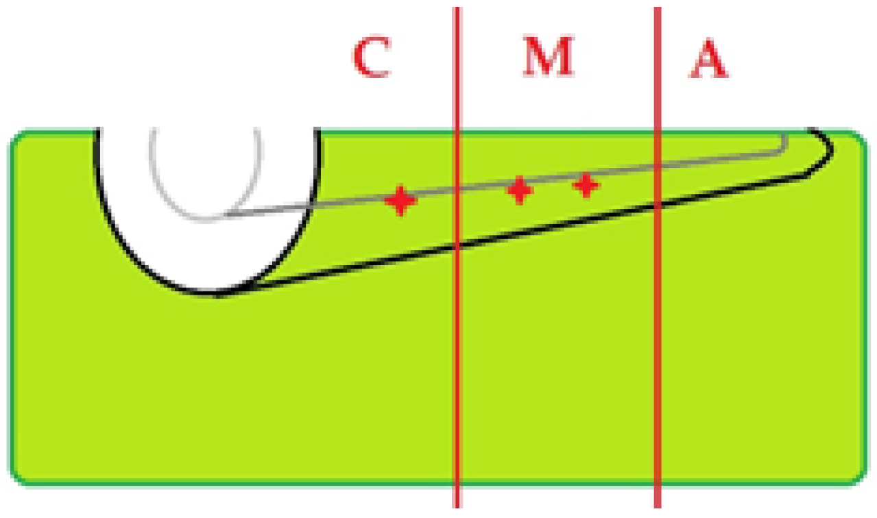 Diagnostics 15 03083 g017