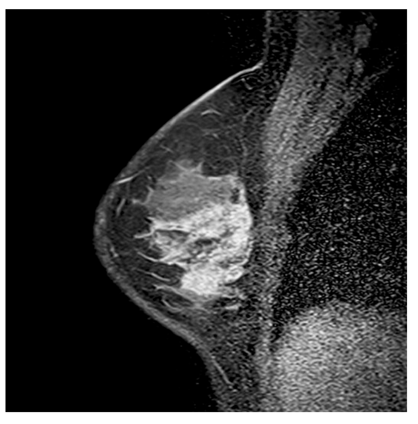 Diagnostics 15 03084 g002