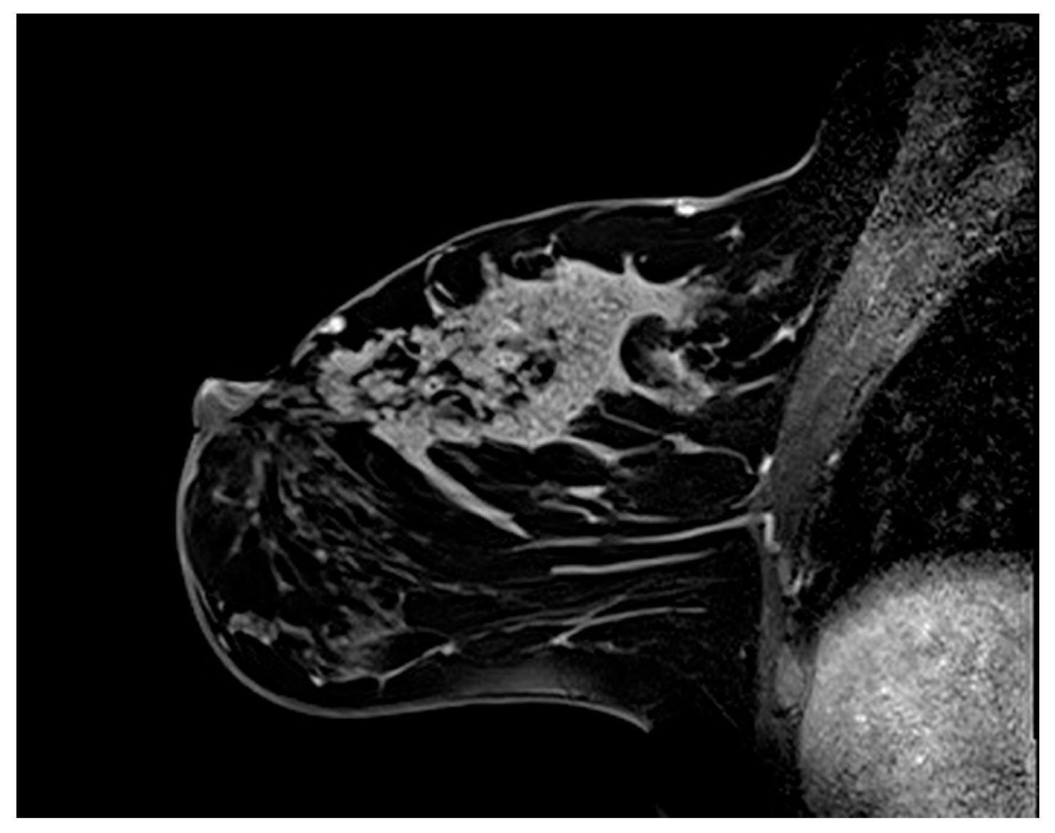 Diagnostics 15 03084 g003