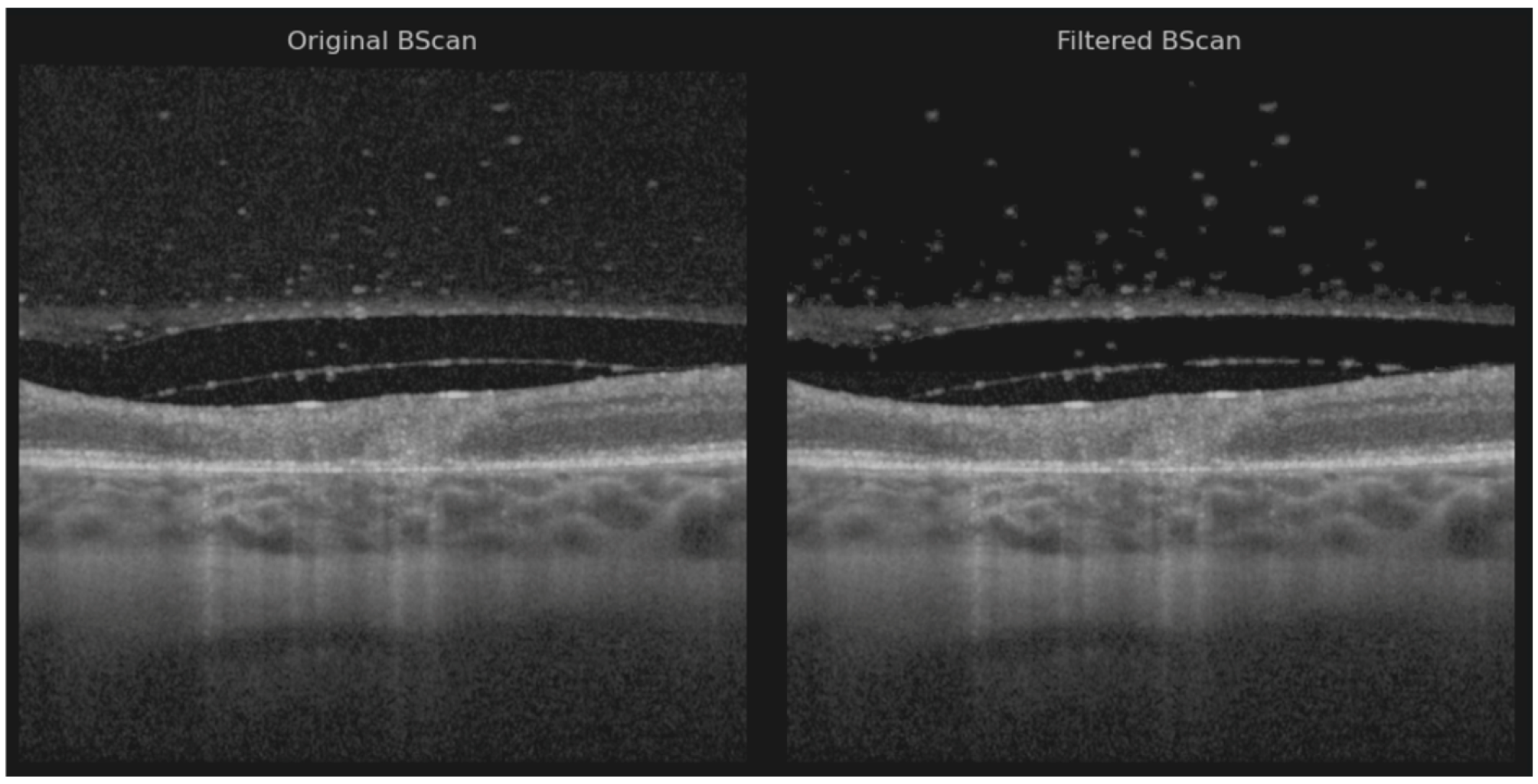 Diagnostics 15 03091 g002
