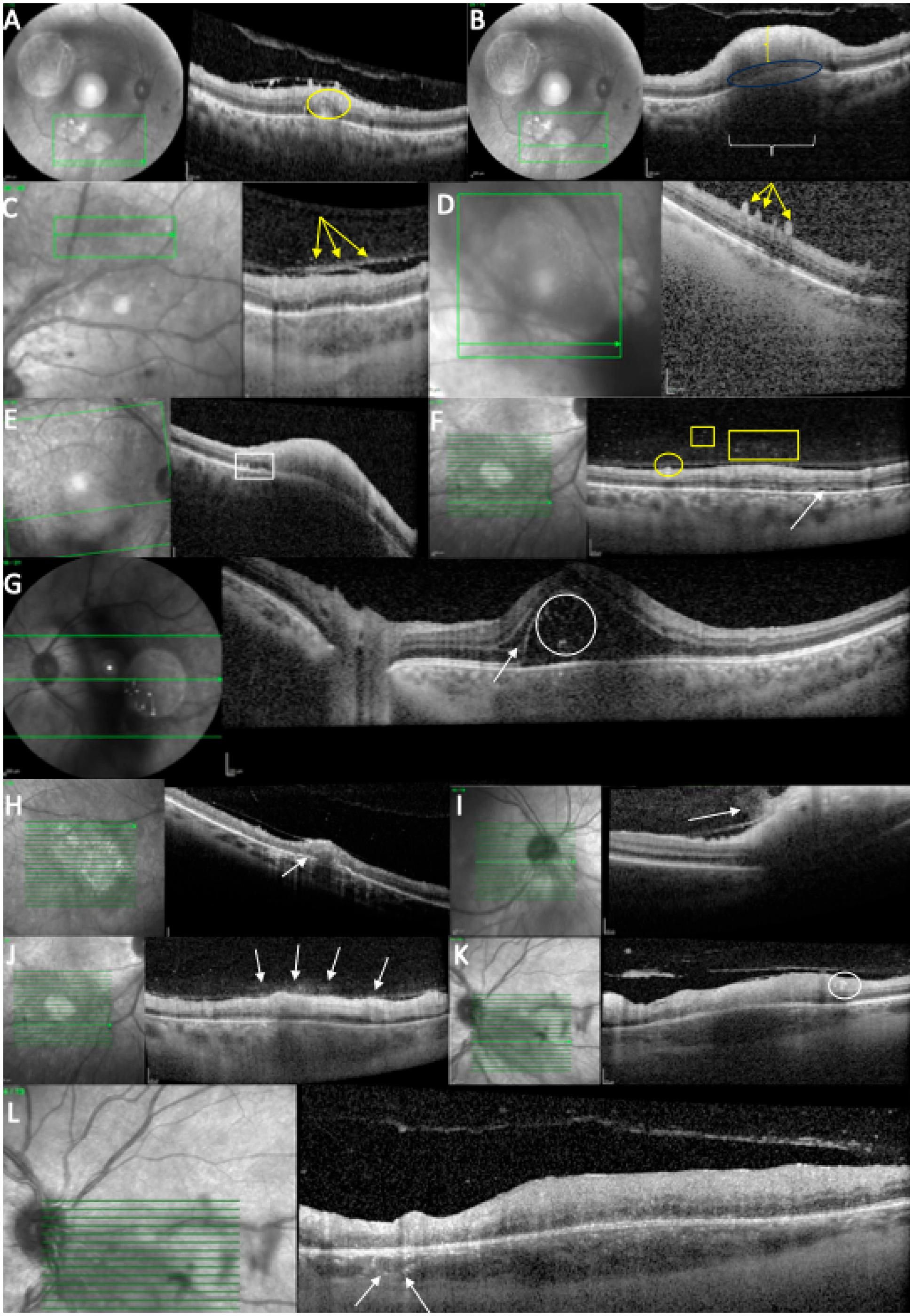 Diagnostics 15 03091 g004
