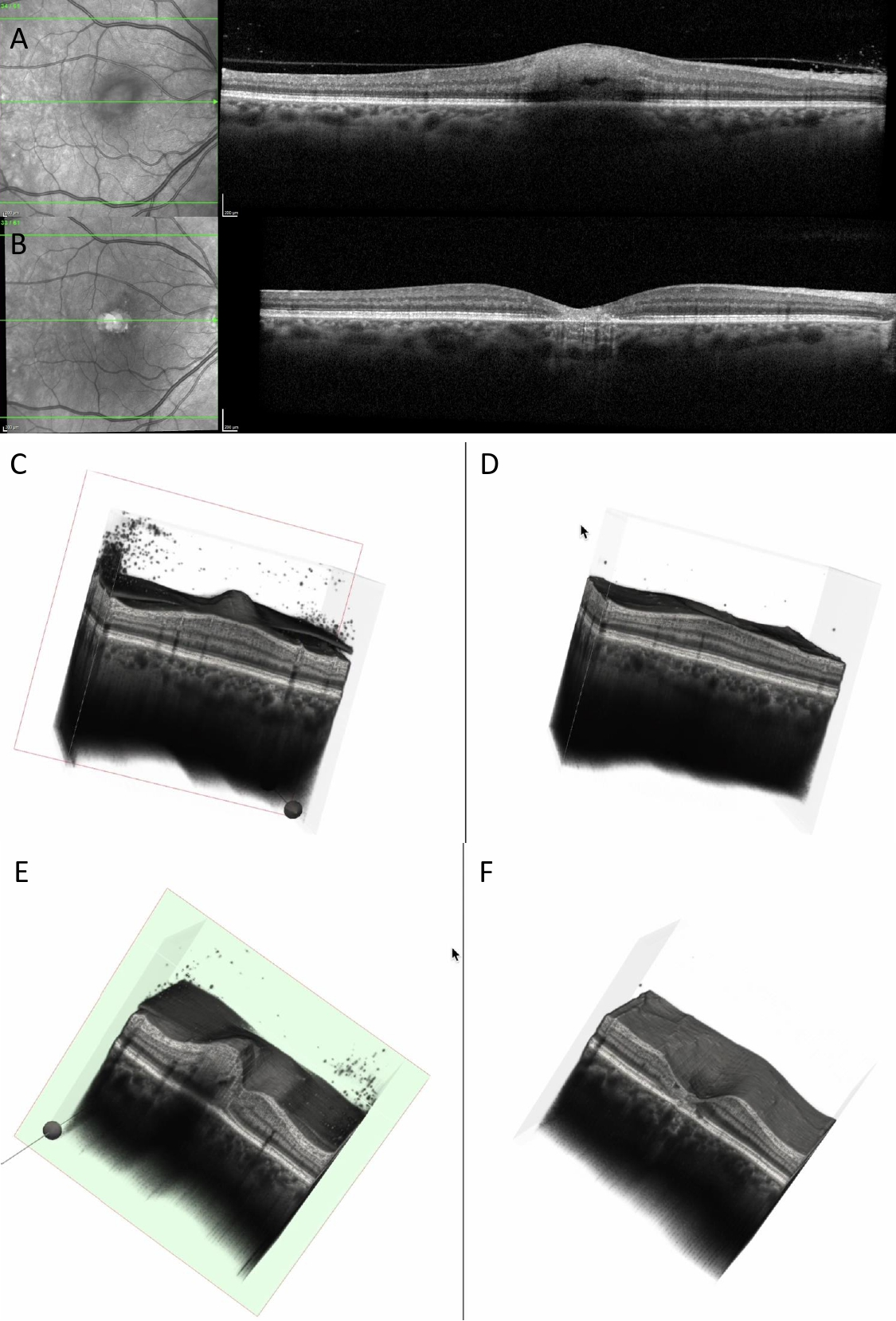 Diagnostics 15 03091 g006