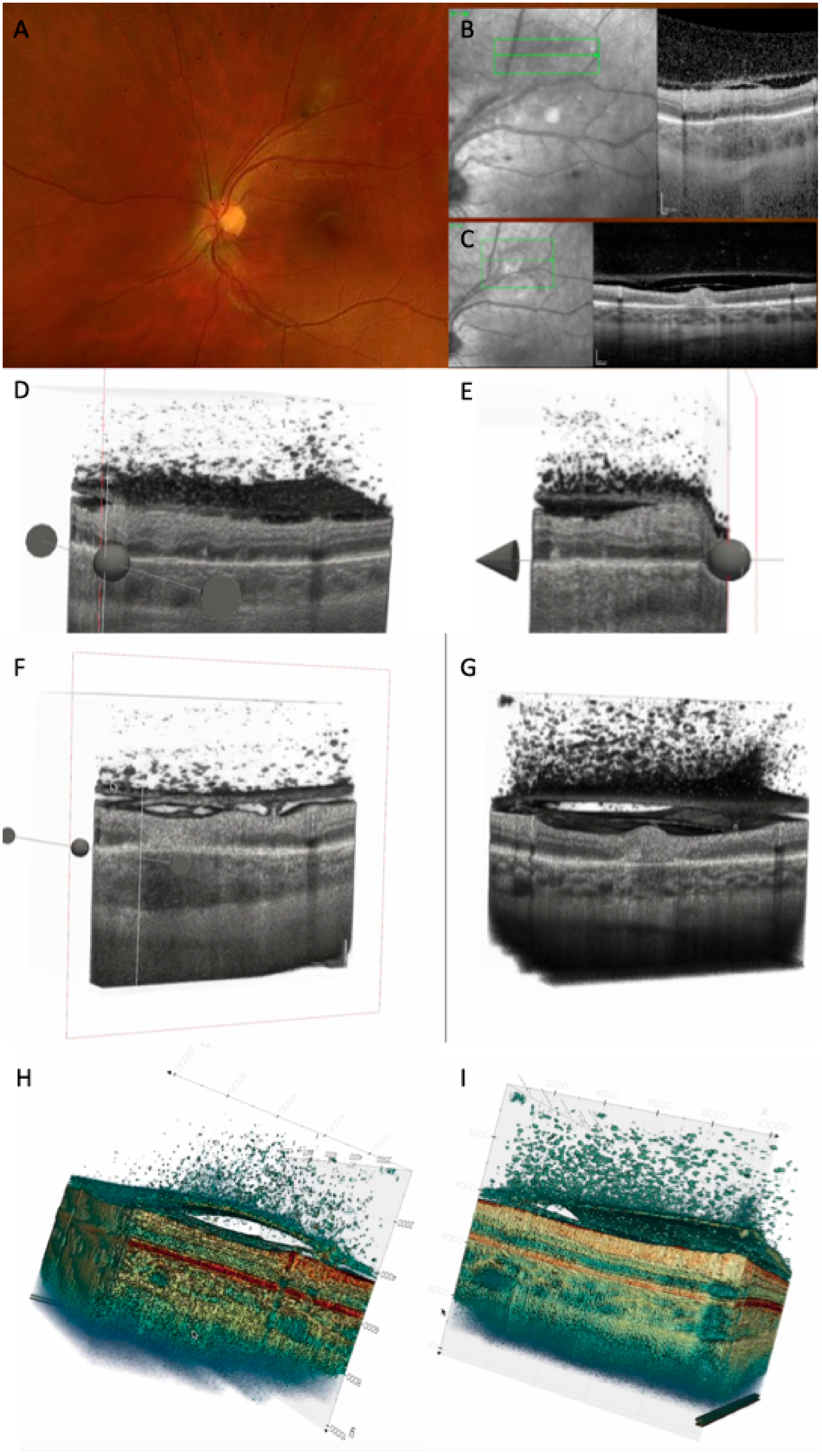 Diagnostics 15 03091 g007