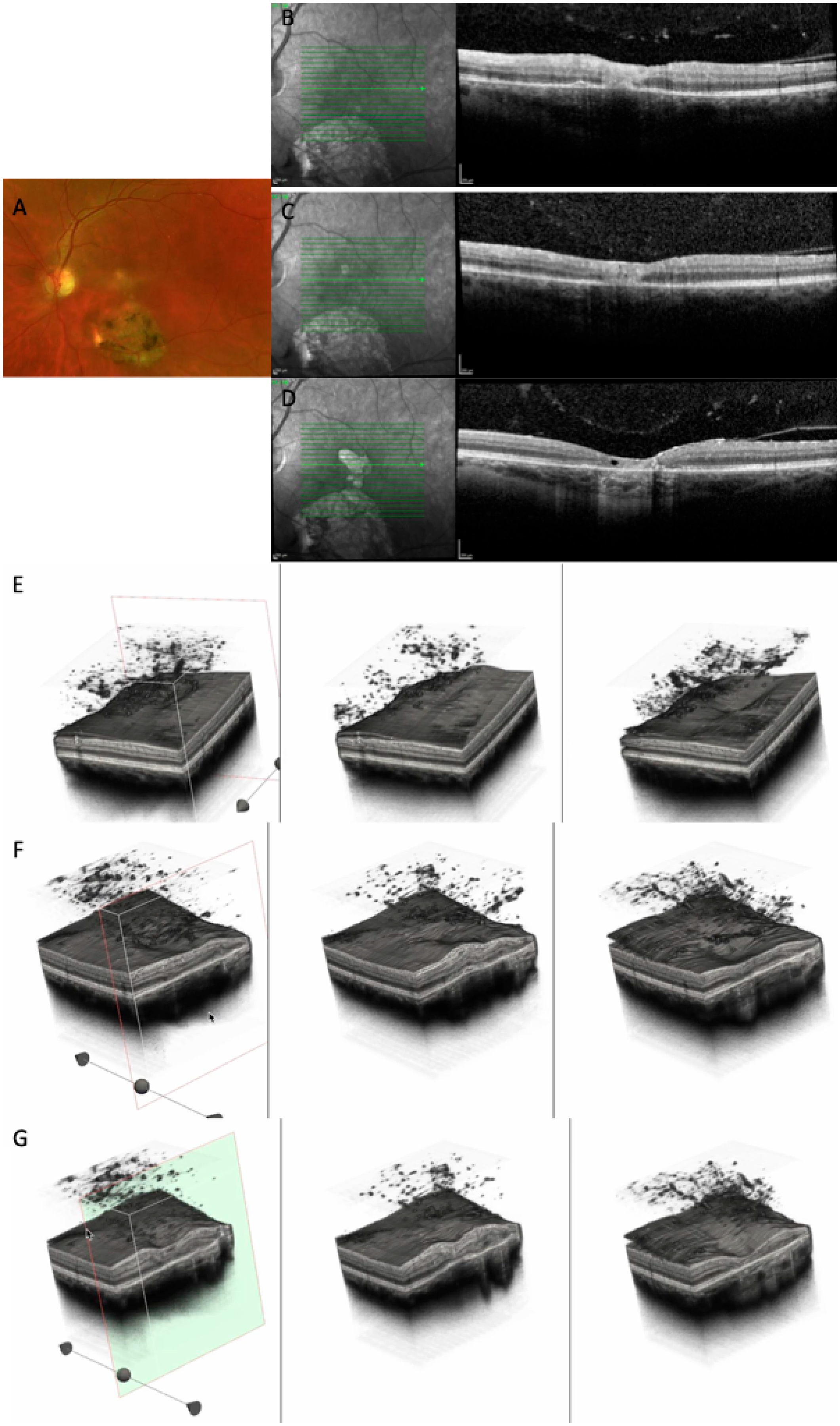 Diagnostics 15 03091 g008