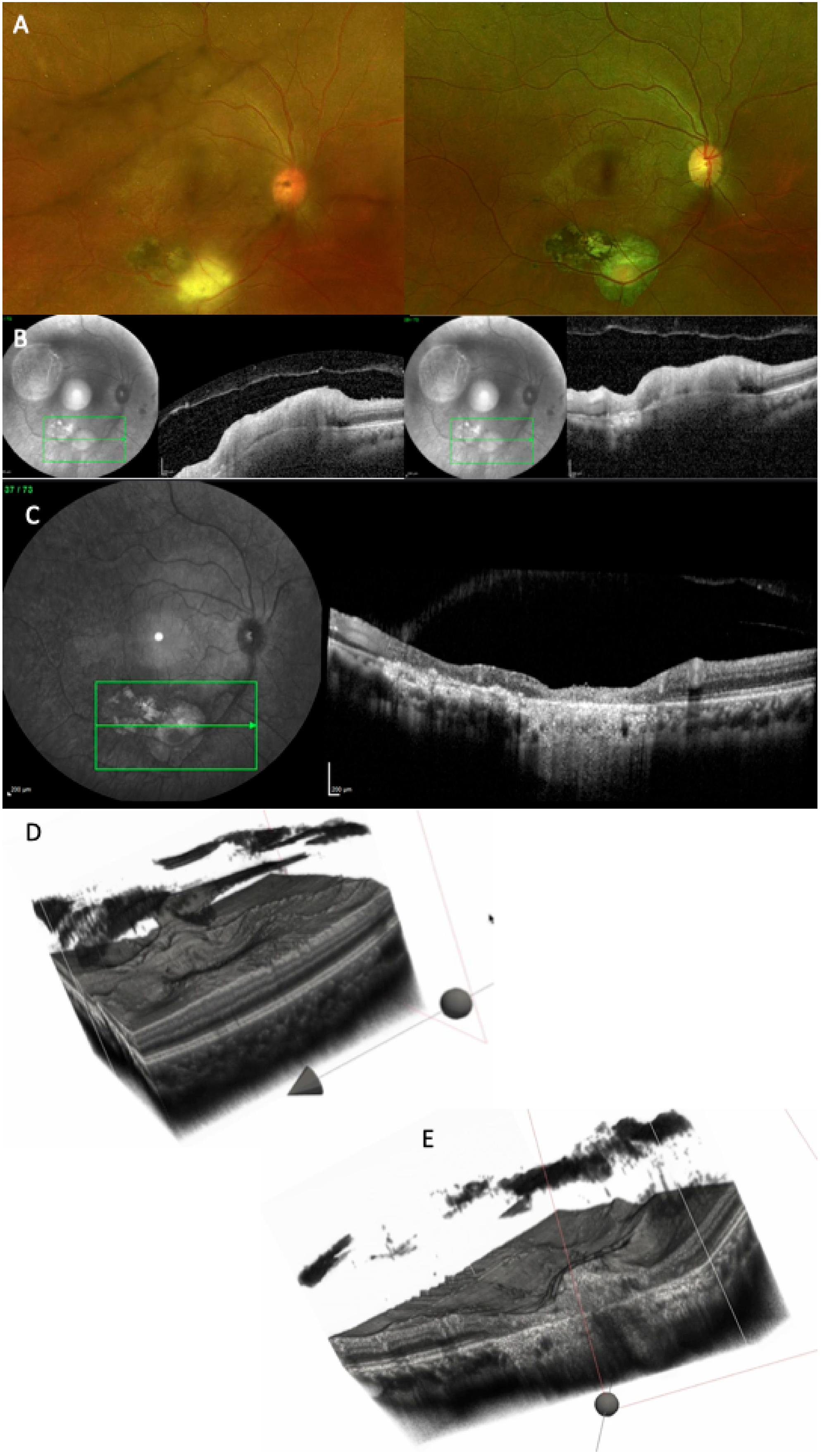 Diagnostics 15 03091 g009