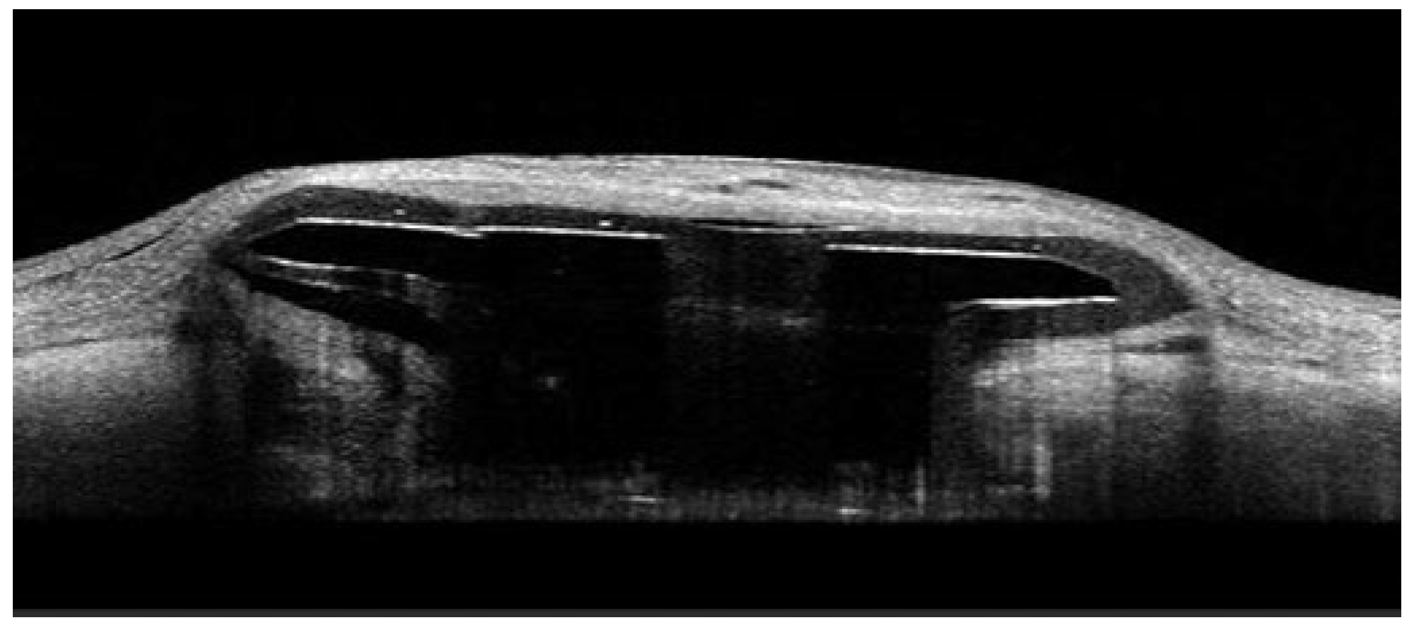 Diagnostics 15 03098 g002