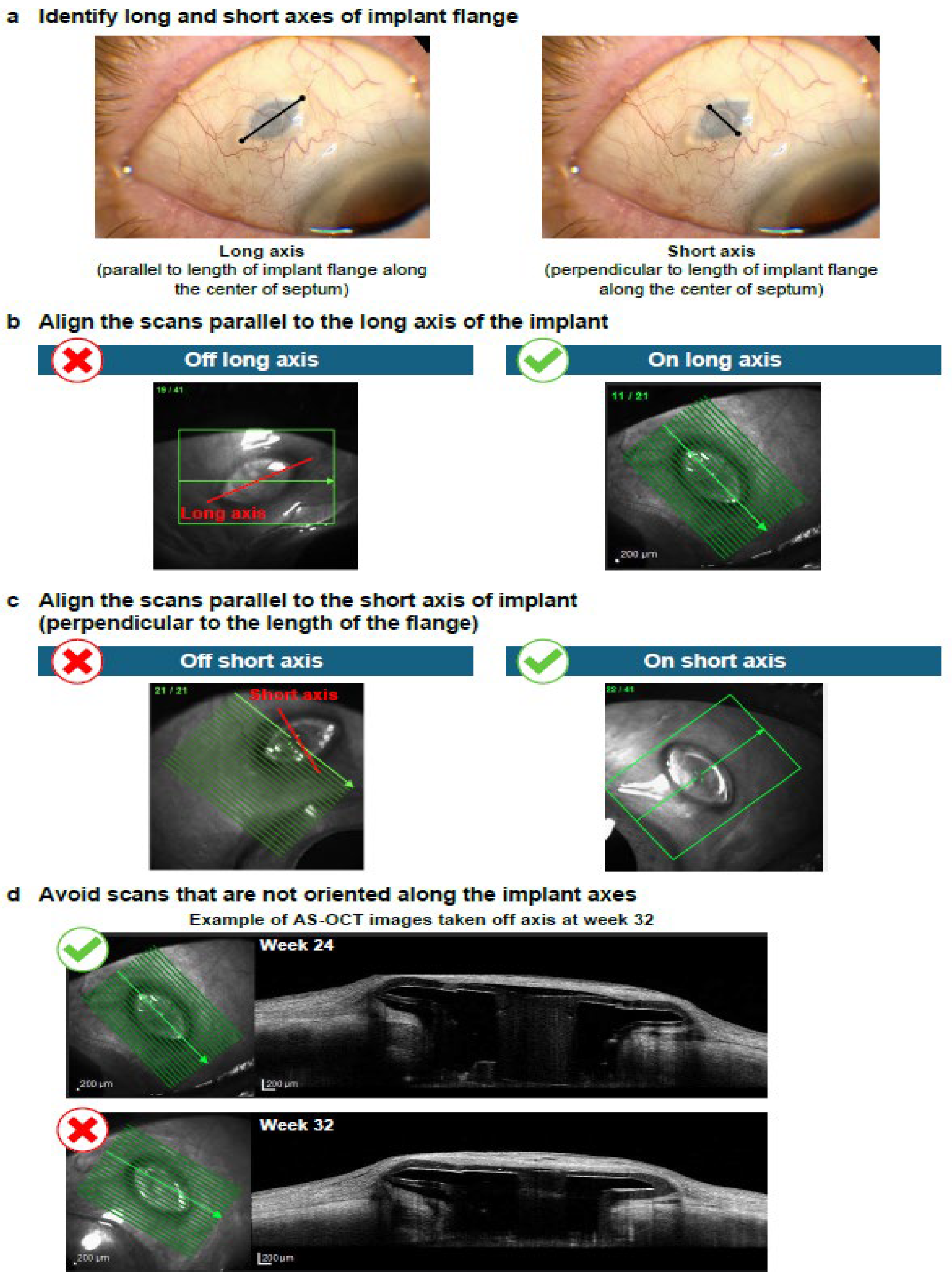 Diagnostics 15 03098 g004