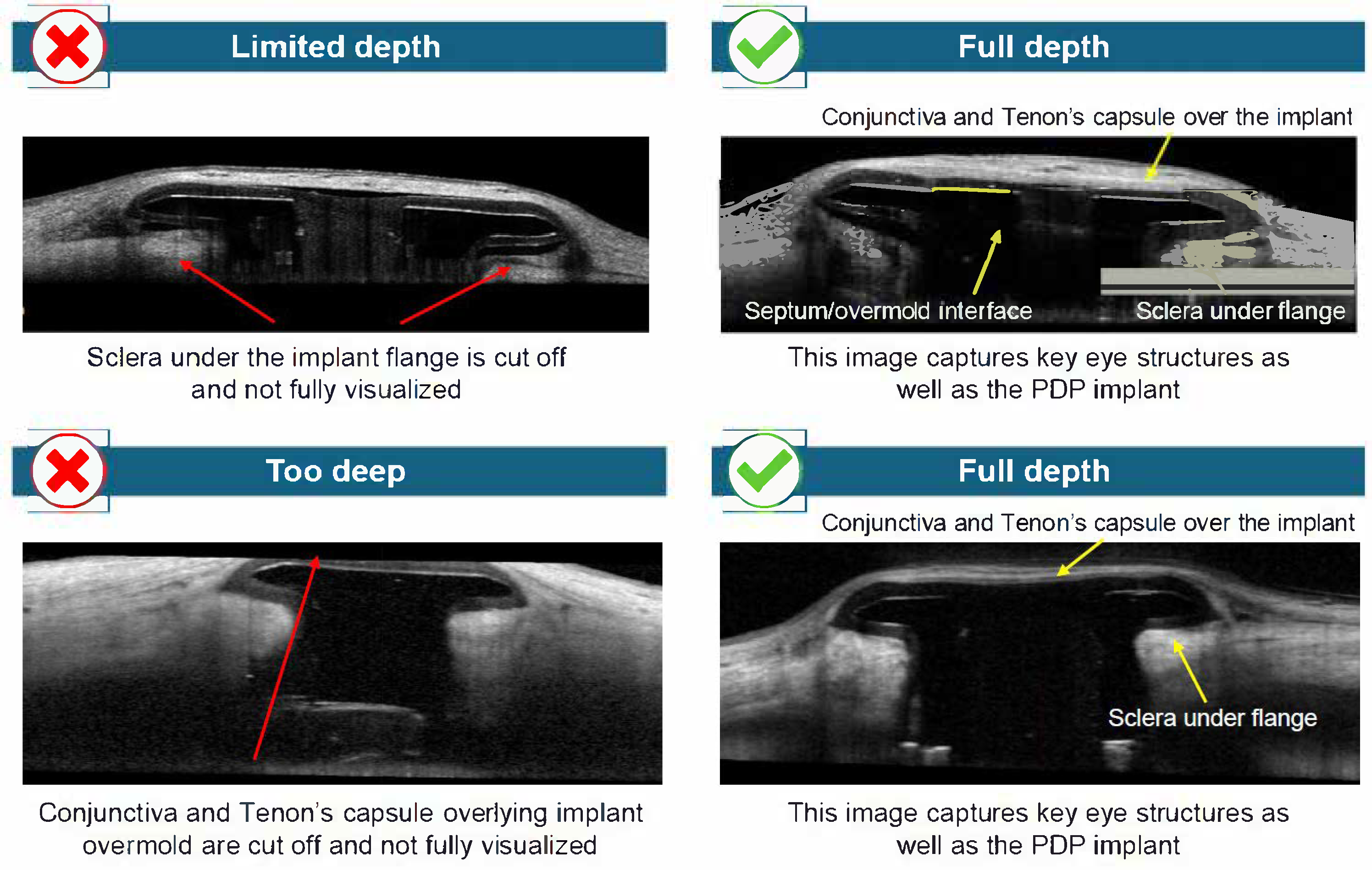 Diagnostics 15 03098 g005