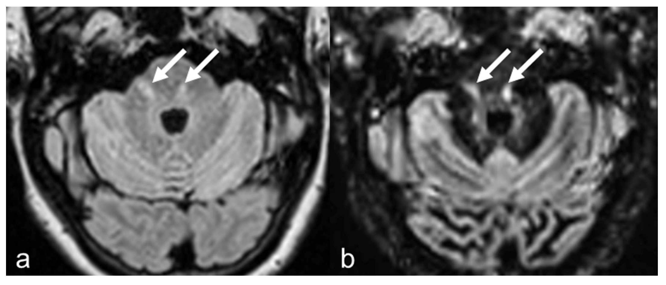 Diagnostics 15 03103 g004