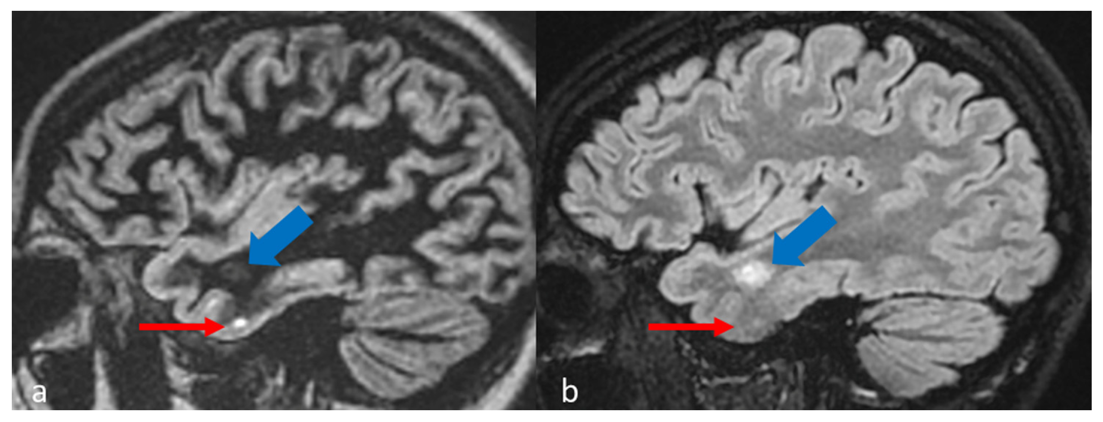 Diagnostics 15 03103 g007