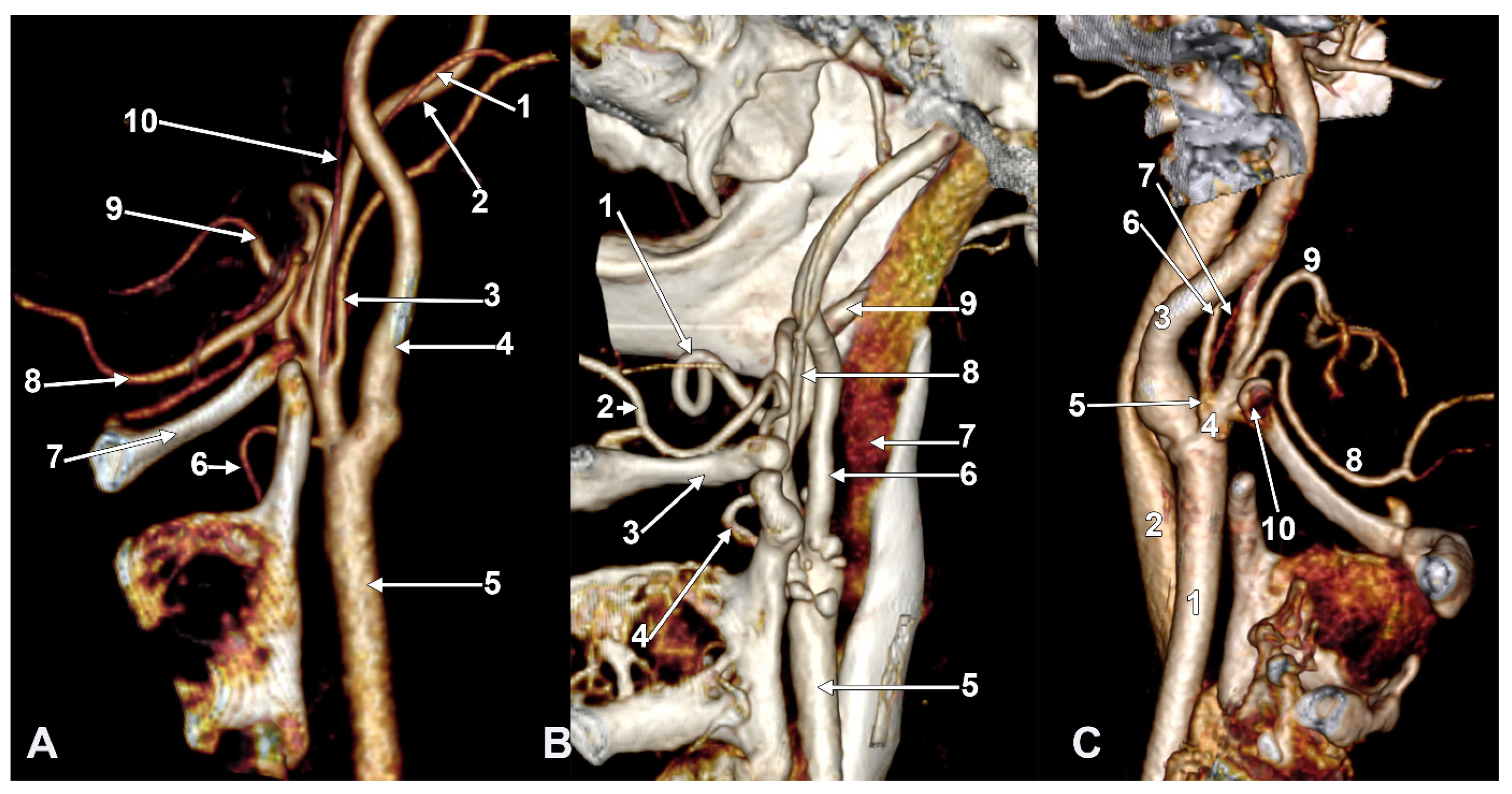 Diagnostics 15 03106 g003