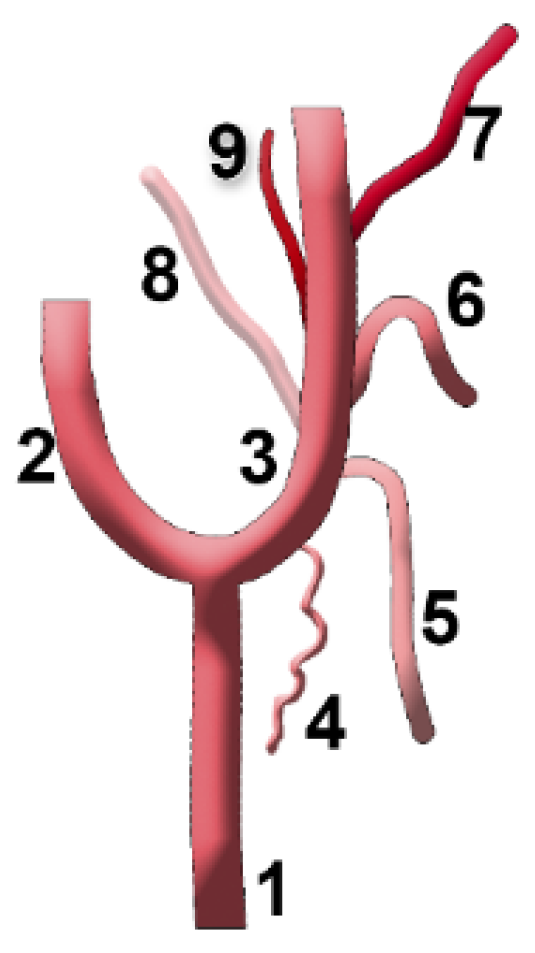 Diagnostics 15 03106 g004