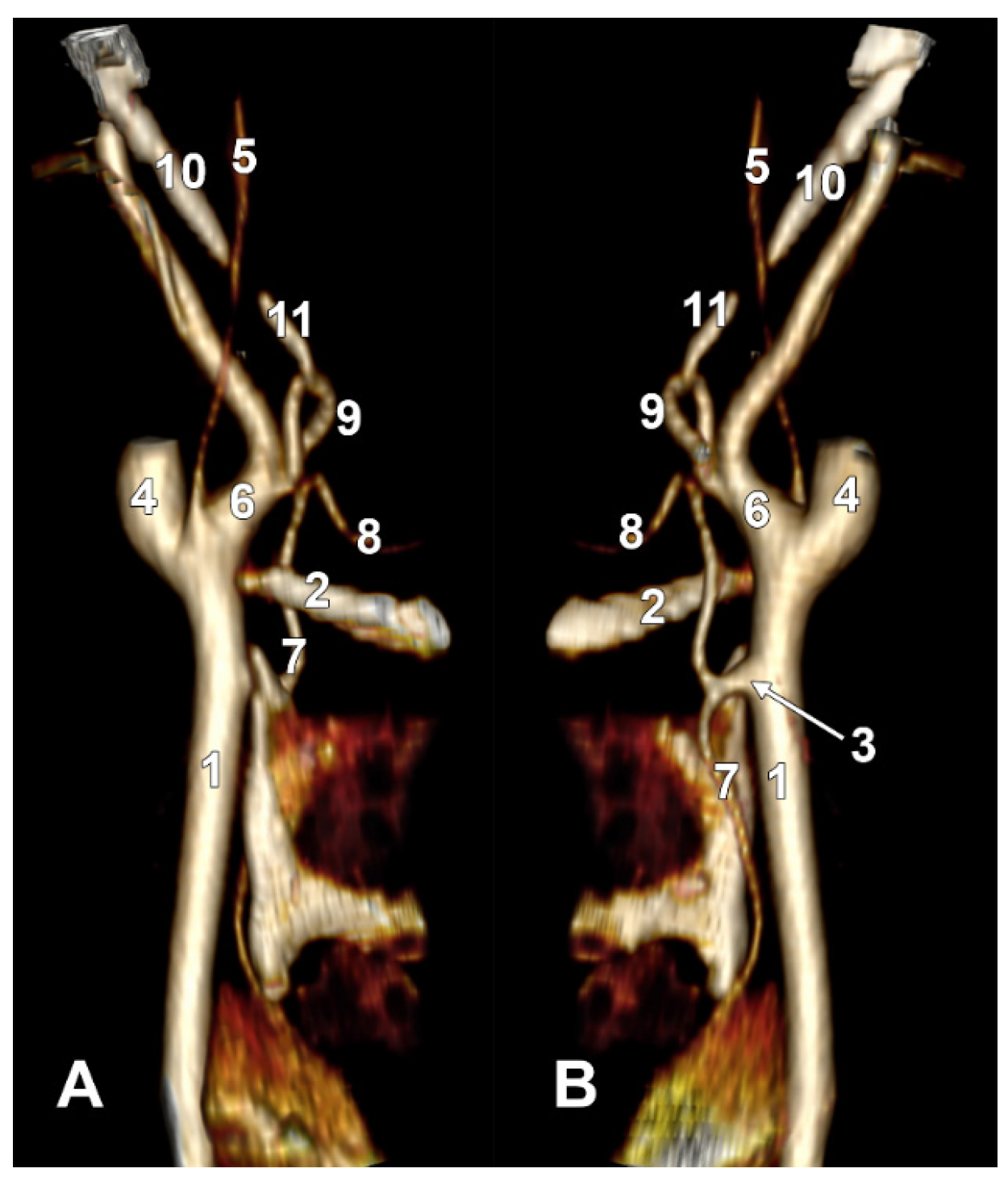 Diagnostics 15 03106 g009