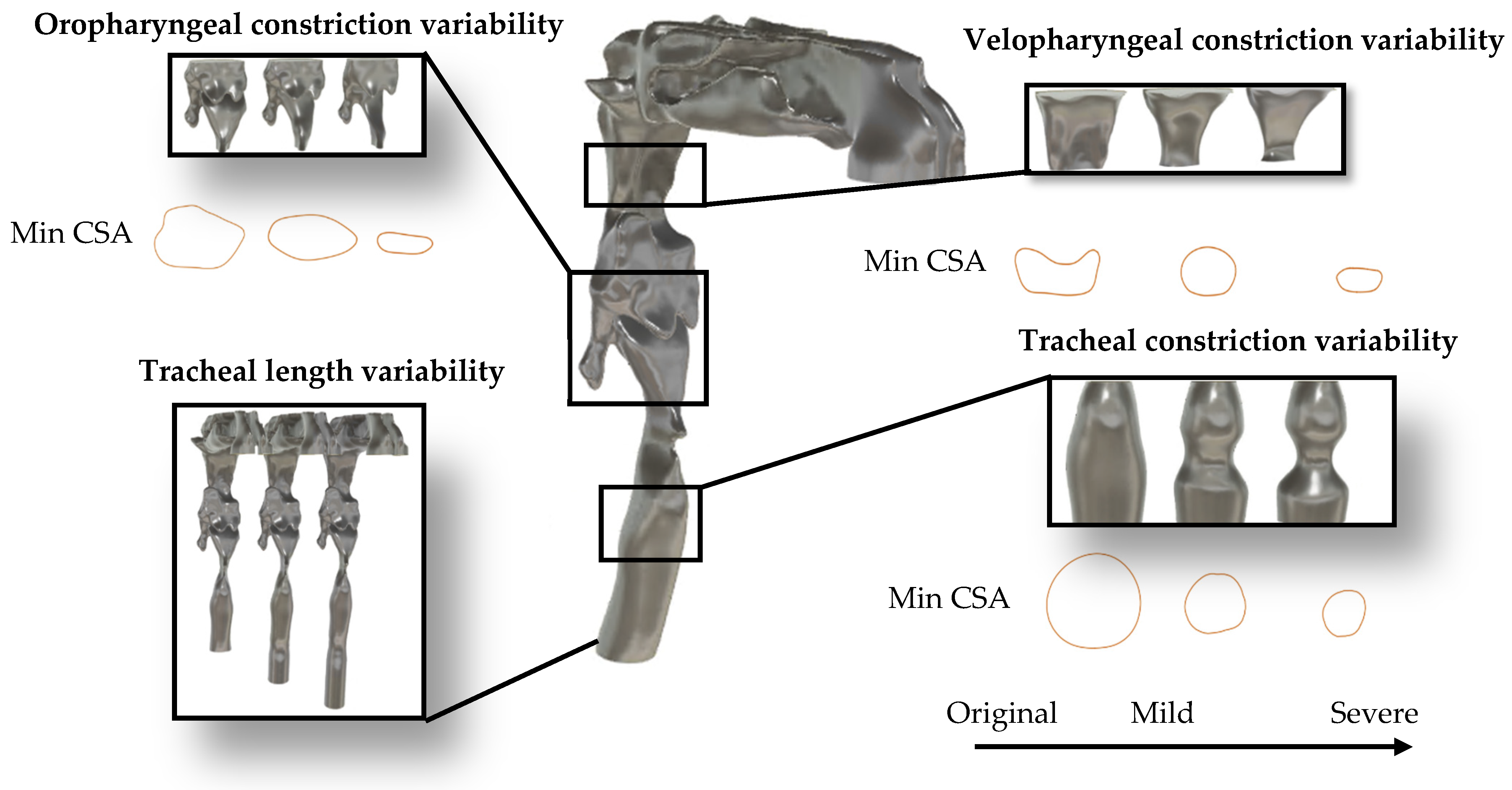 Diagnostics 15 03108 g003 Diagnostics 15 03108 g003