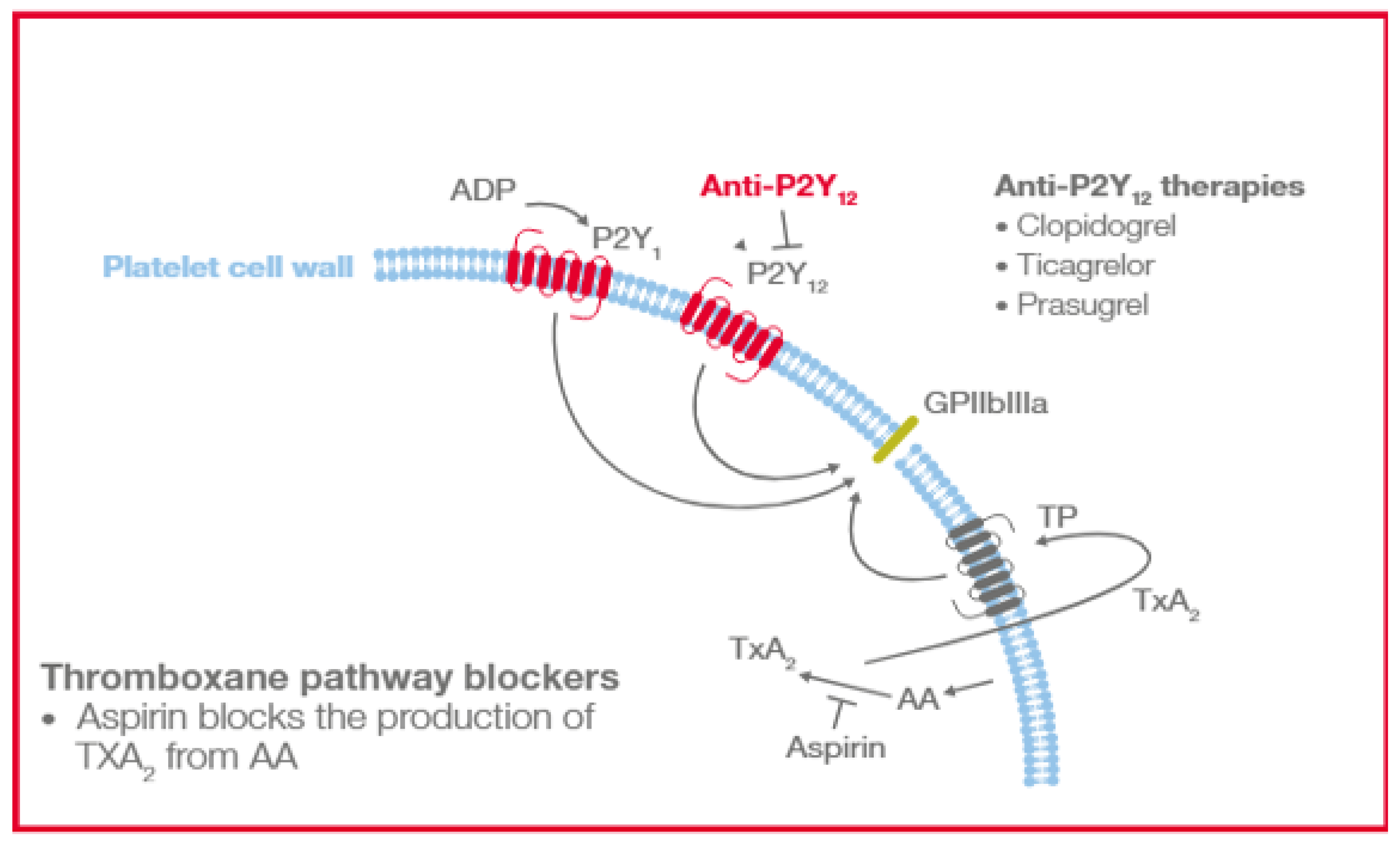 Diagnostics 15 03113 g001 Diagnostics 15 03113 g001