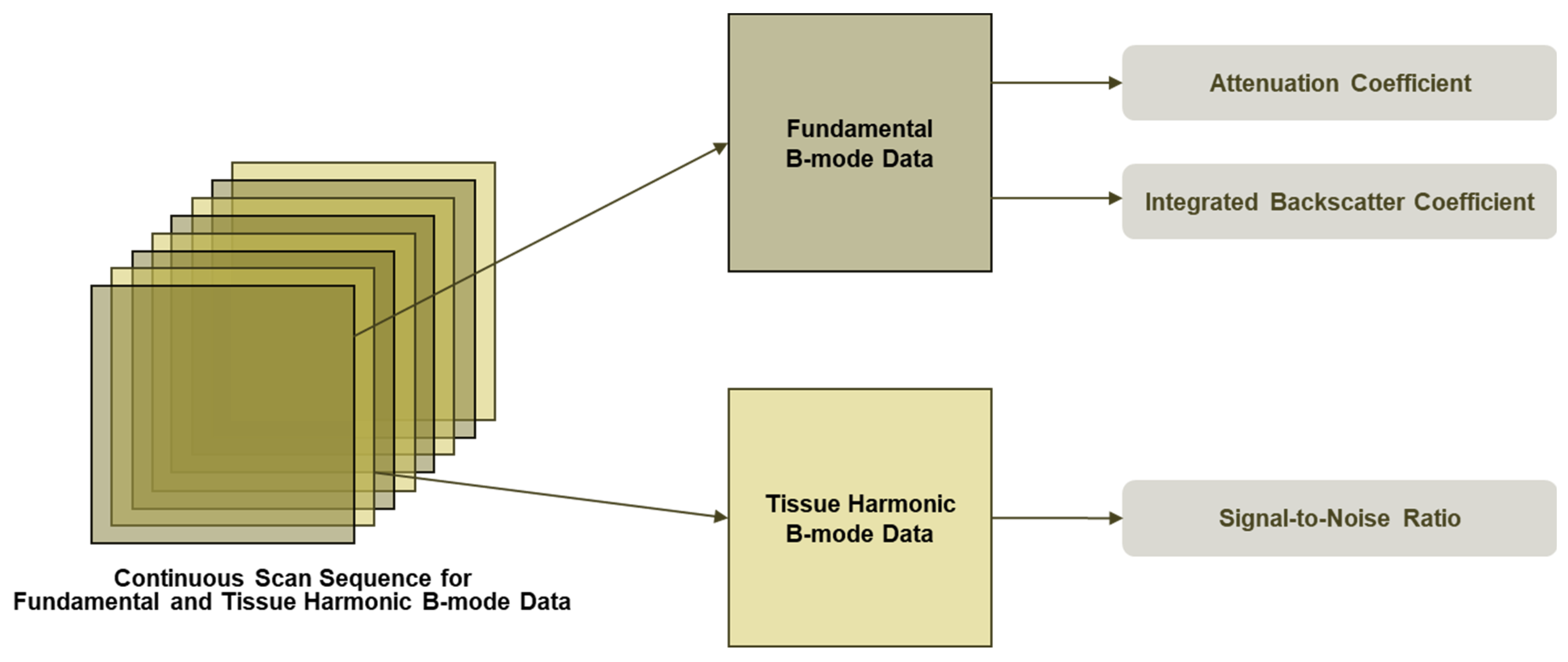 Diagnostics 15 03119 g001 Diagnostics 15 03119 g001