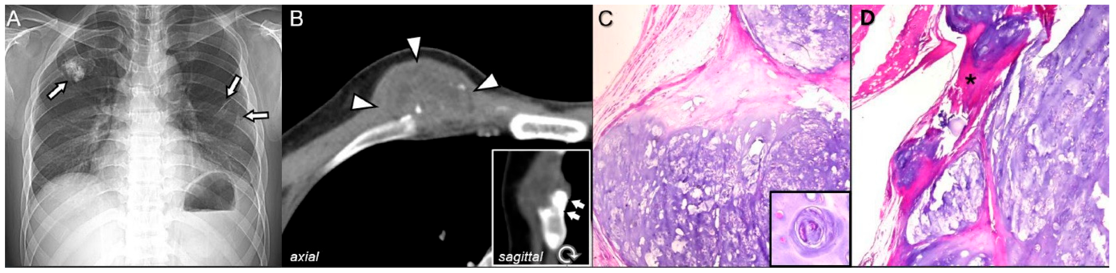 Diagnostics 15 03120 g001 Diagnostics 15 03120 g001