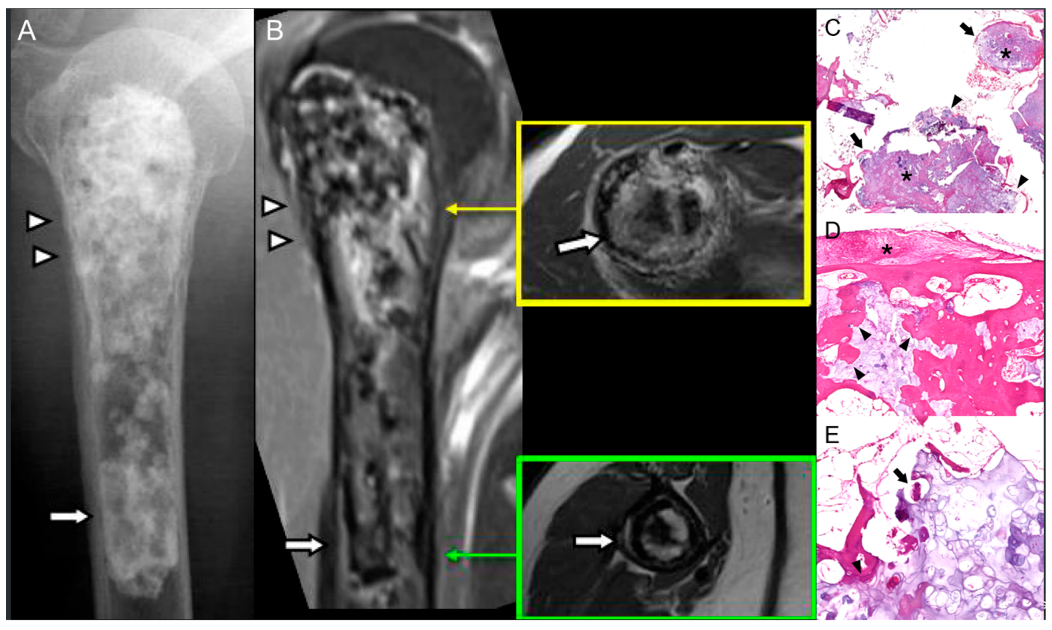 Diagnostics 15 03120 g002 Diagnostics 15 03120 g002