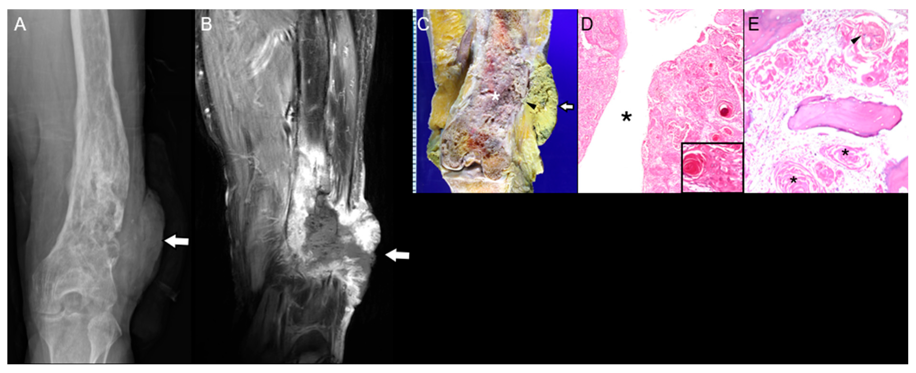 Diagnostics 15 03120 g004 Diagnostics 15 03120 g004