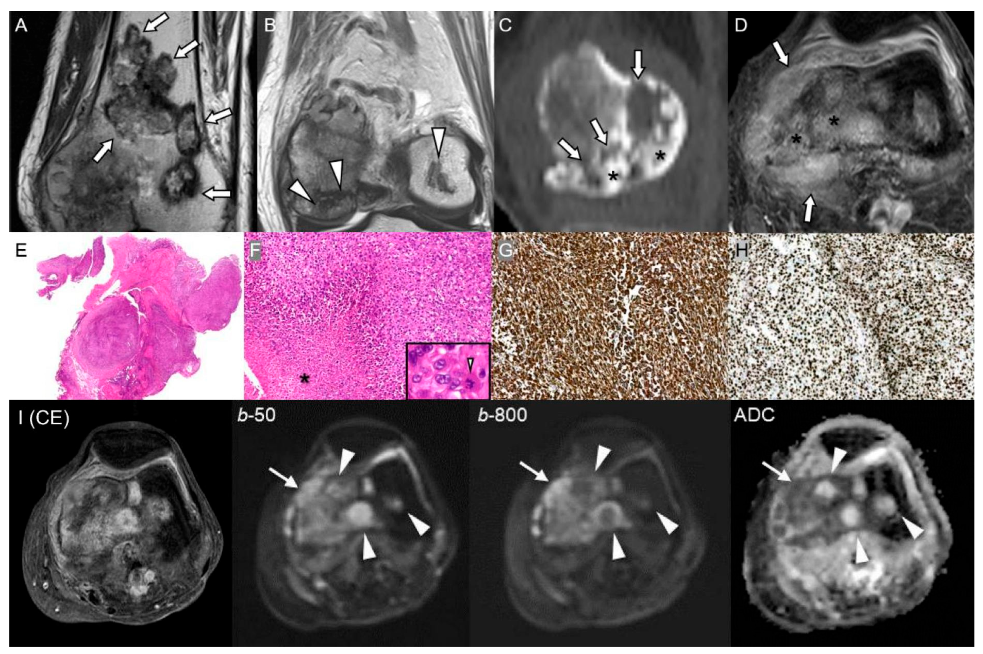 Diagnostics 15 03120 g006 Diagnostics 15 03120 g006