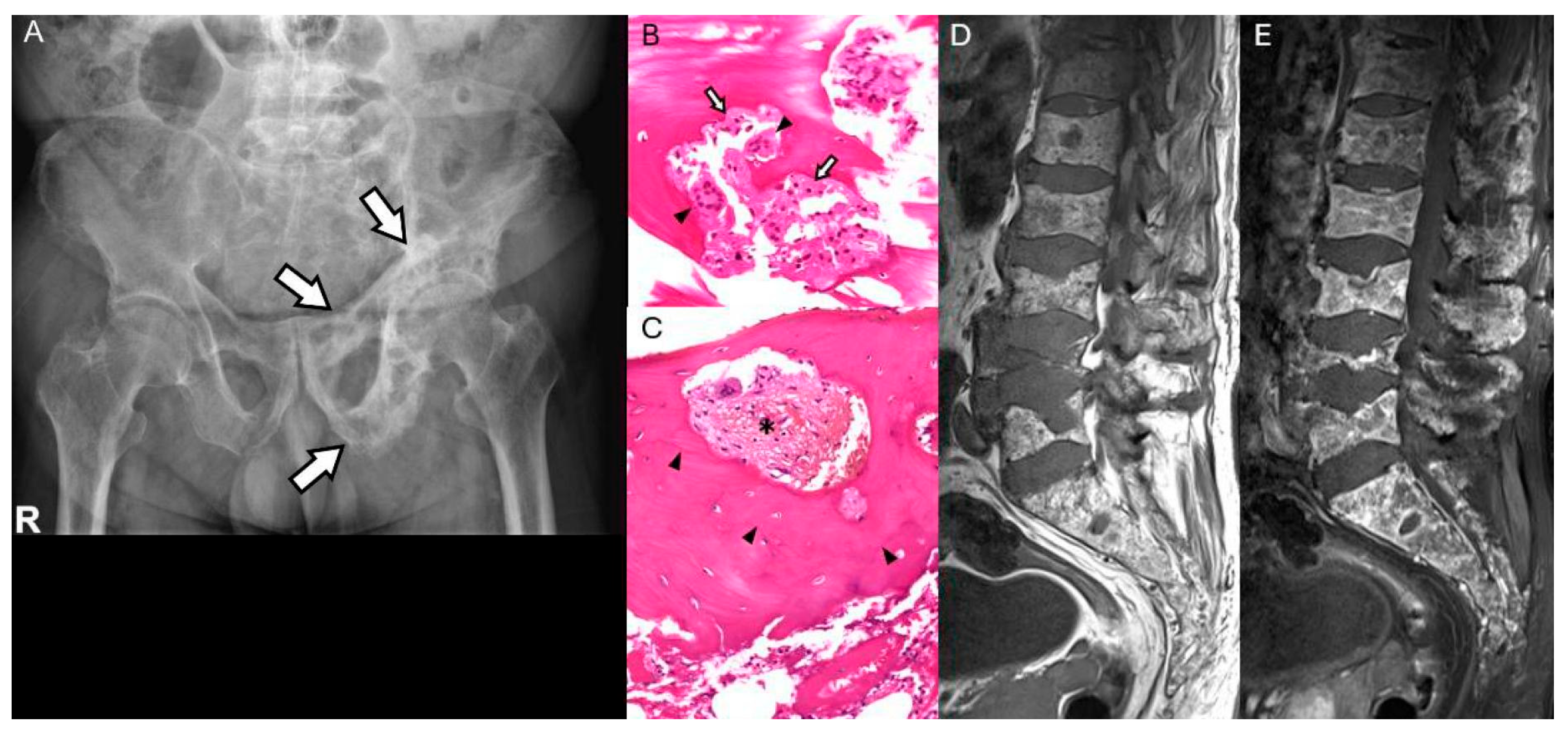 Diagnostics 15 03120 g007 Diagnostics 15 03120 g007