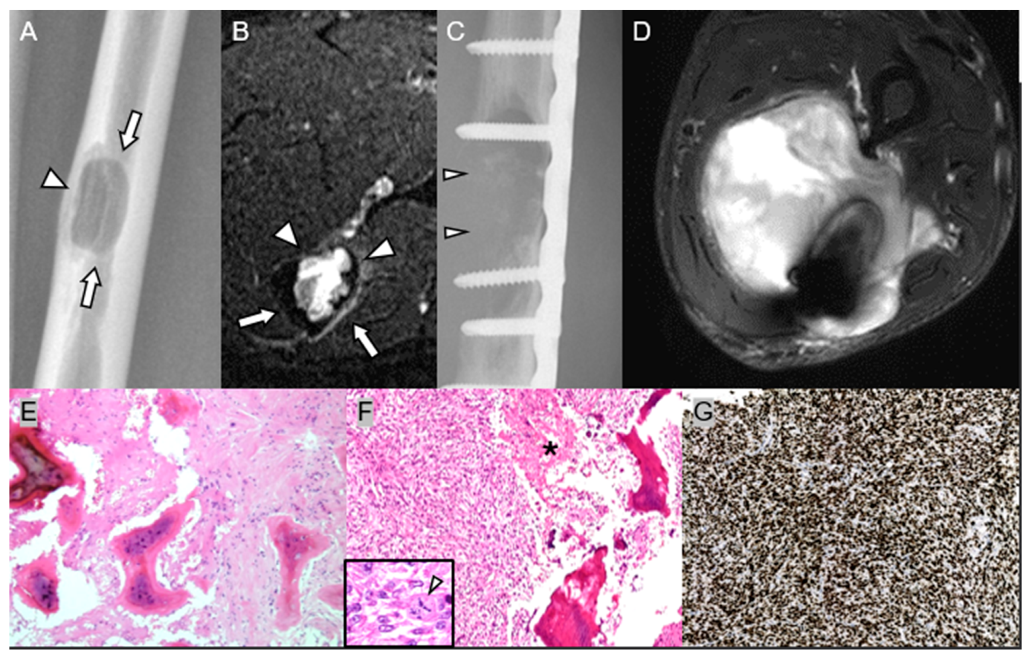 Diagnostics 15 03120 g008 Diagnostics 15 03120 g008