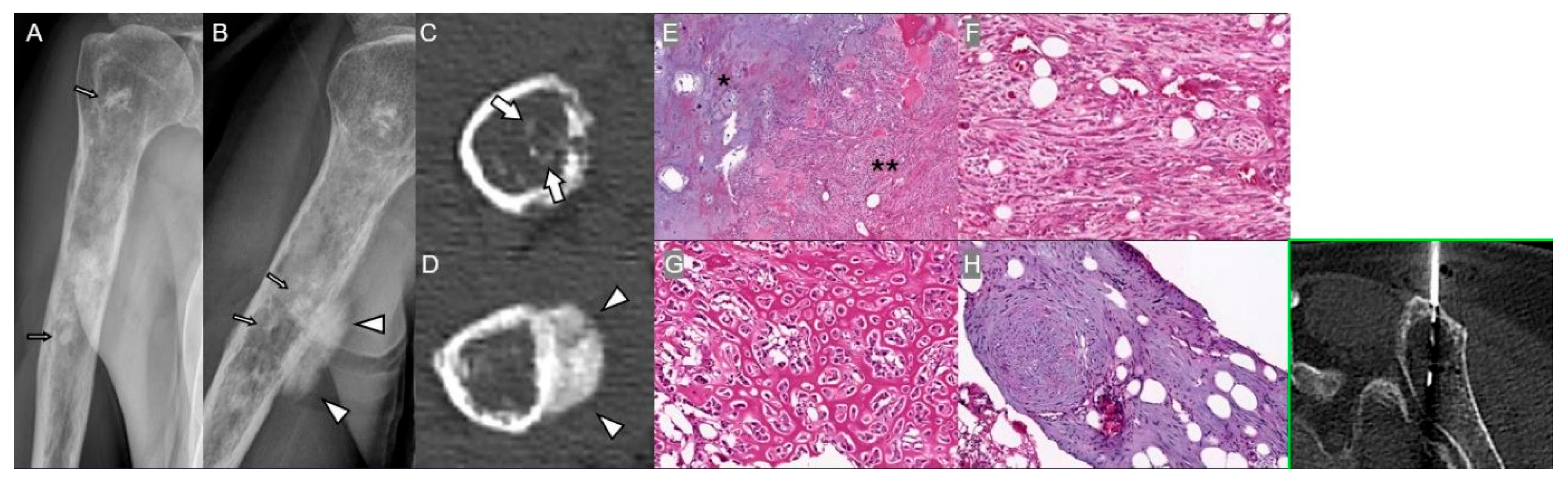 Diagnostics 15 03120 g009 Diagnostics 15 03120 g009