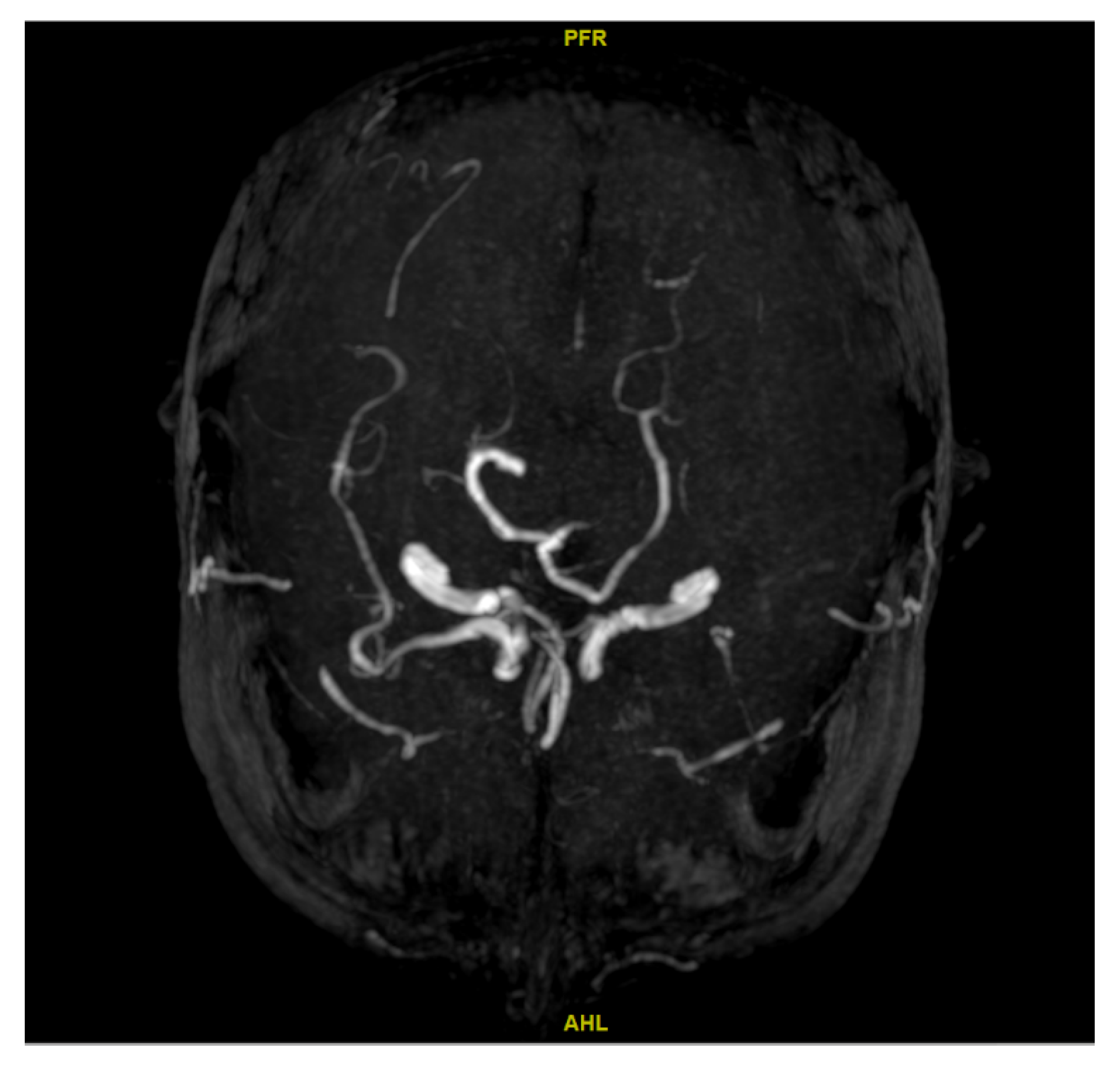 Diagnostics 15 03126 g003 Diagnostics 15 03126 g003