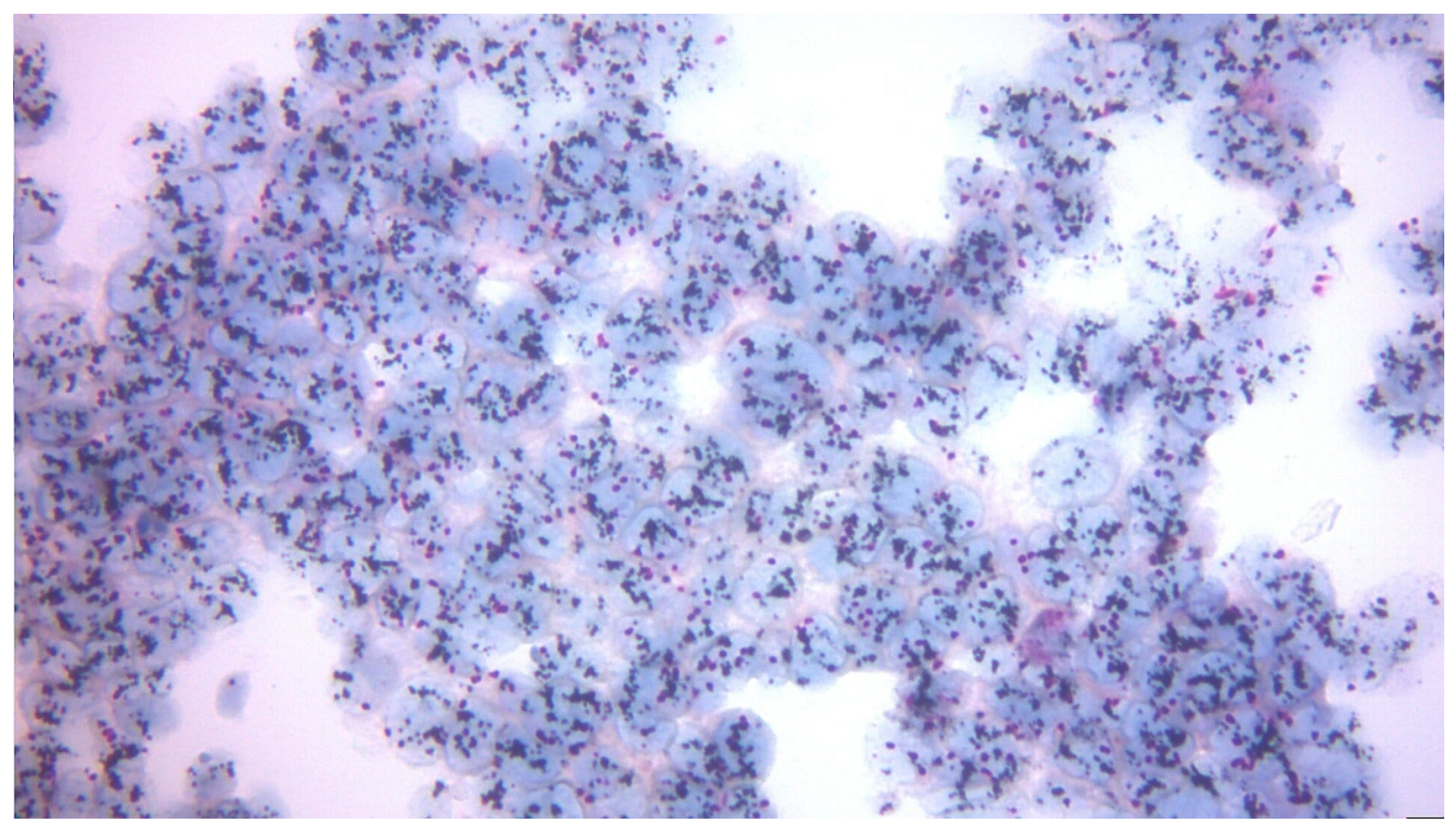 Diagnostics 15 03128 g003 Diagnostics 15 03128 g003