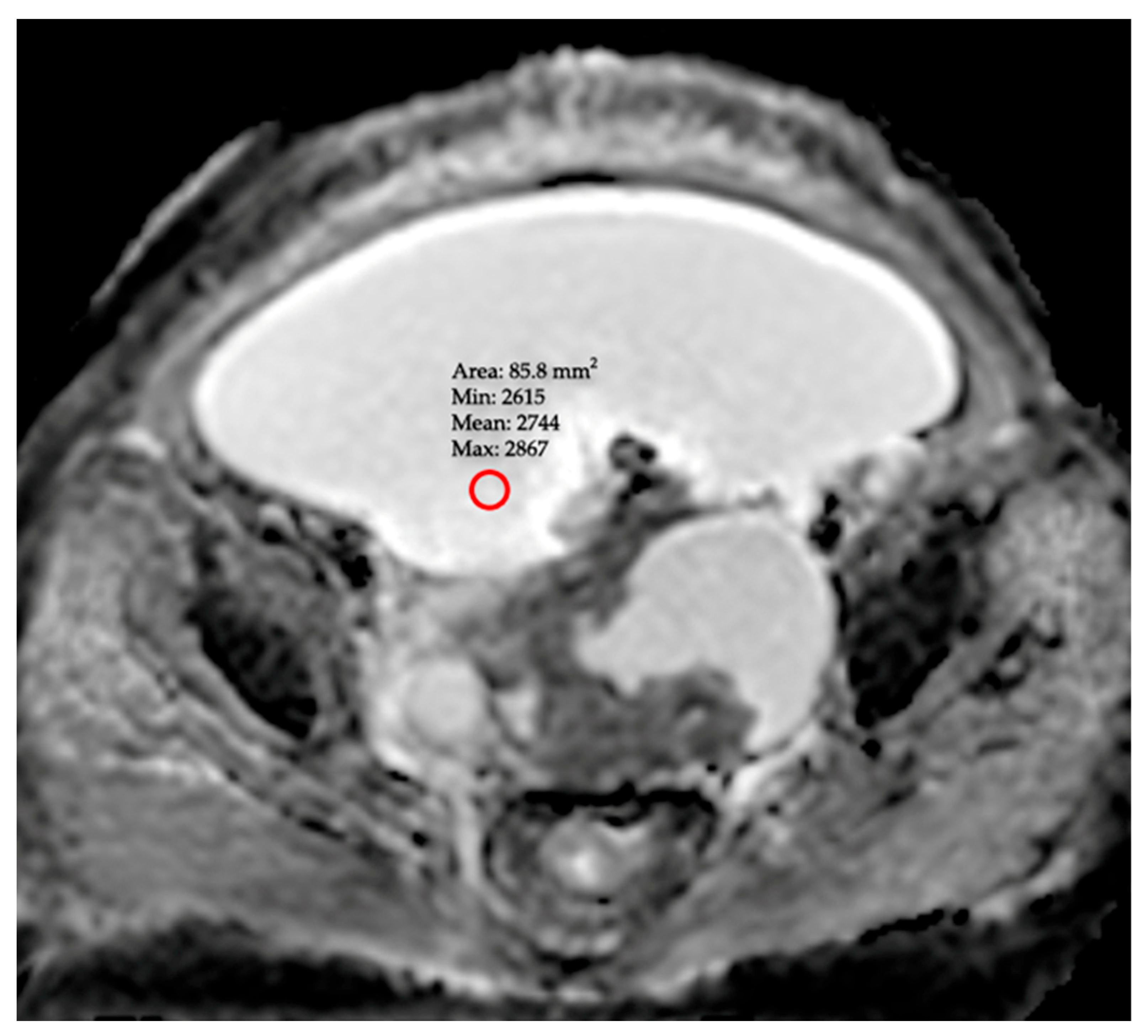 Diagnostics 15 03130 g001 Diagnostics 15 03130 g001