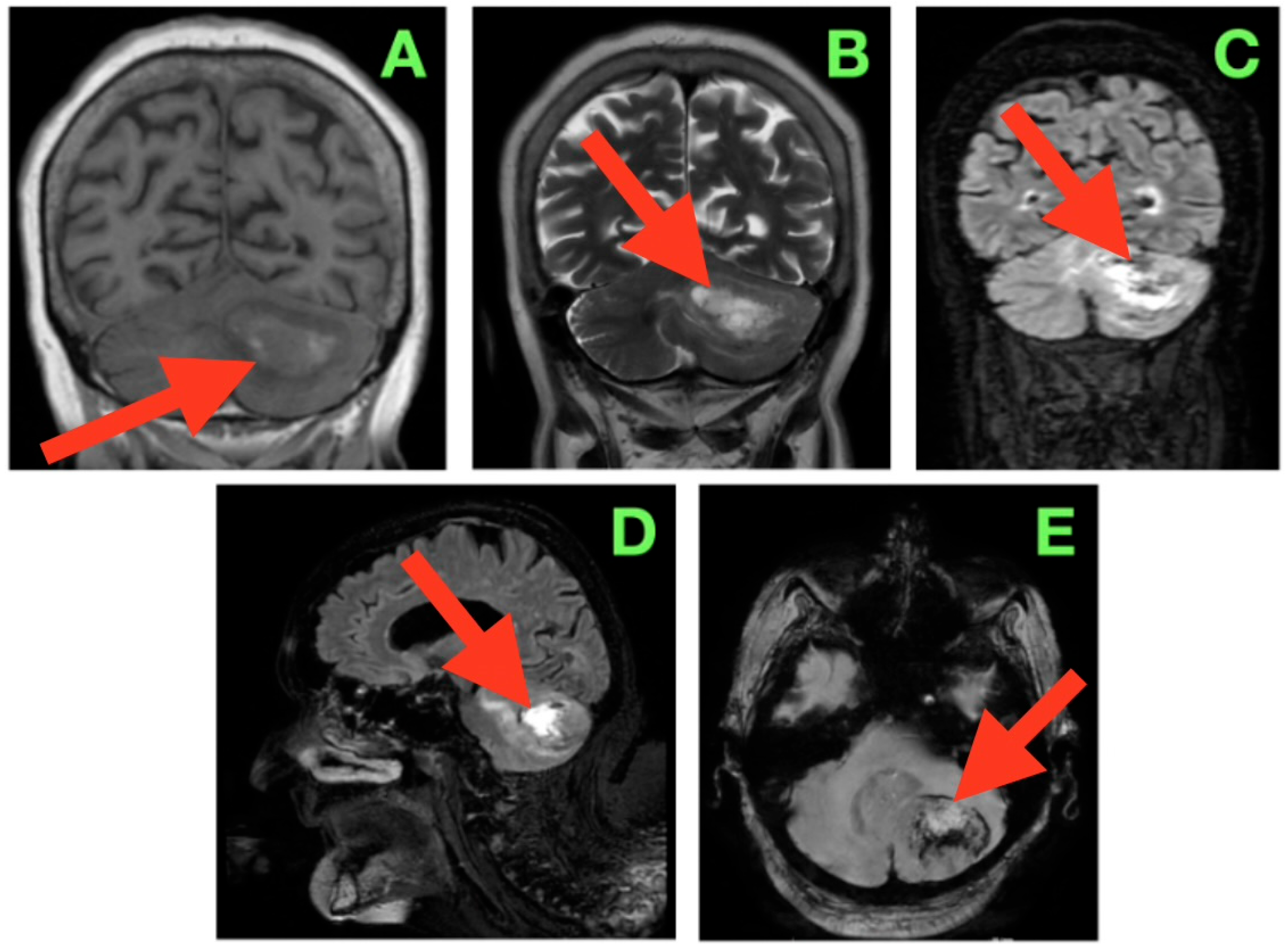 Diagnostics 15 03131 g001