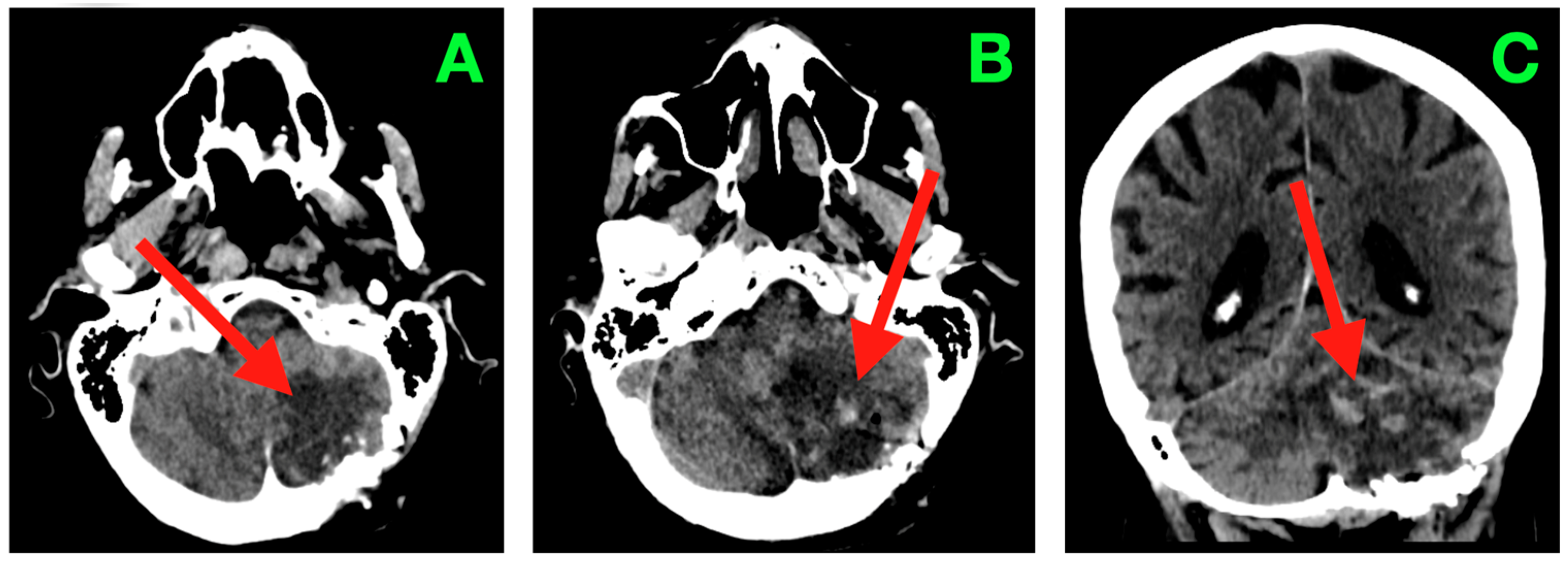Diagnostics 15 03131 g002