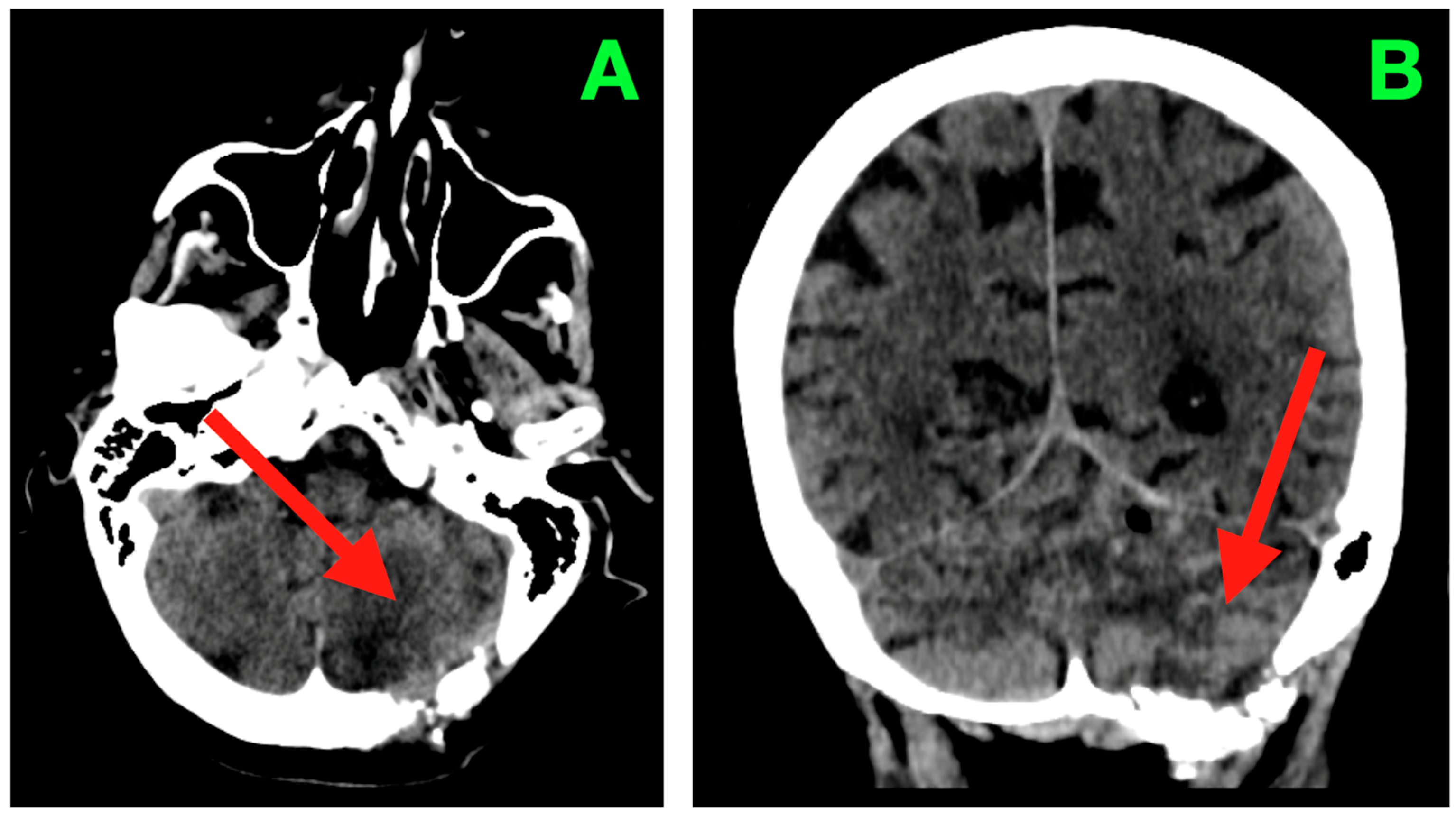 Diagnostics 15 03131 g003