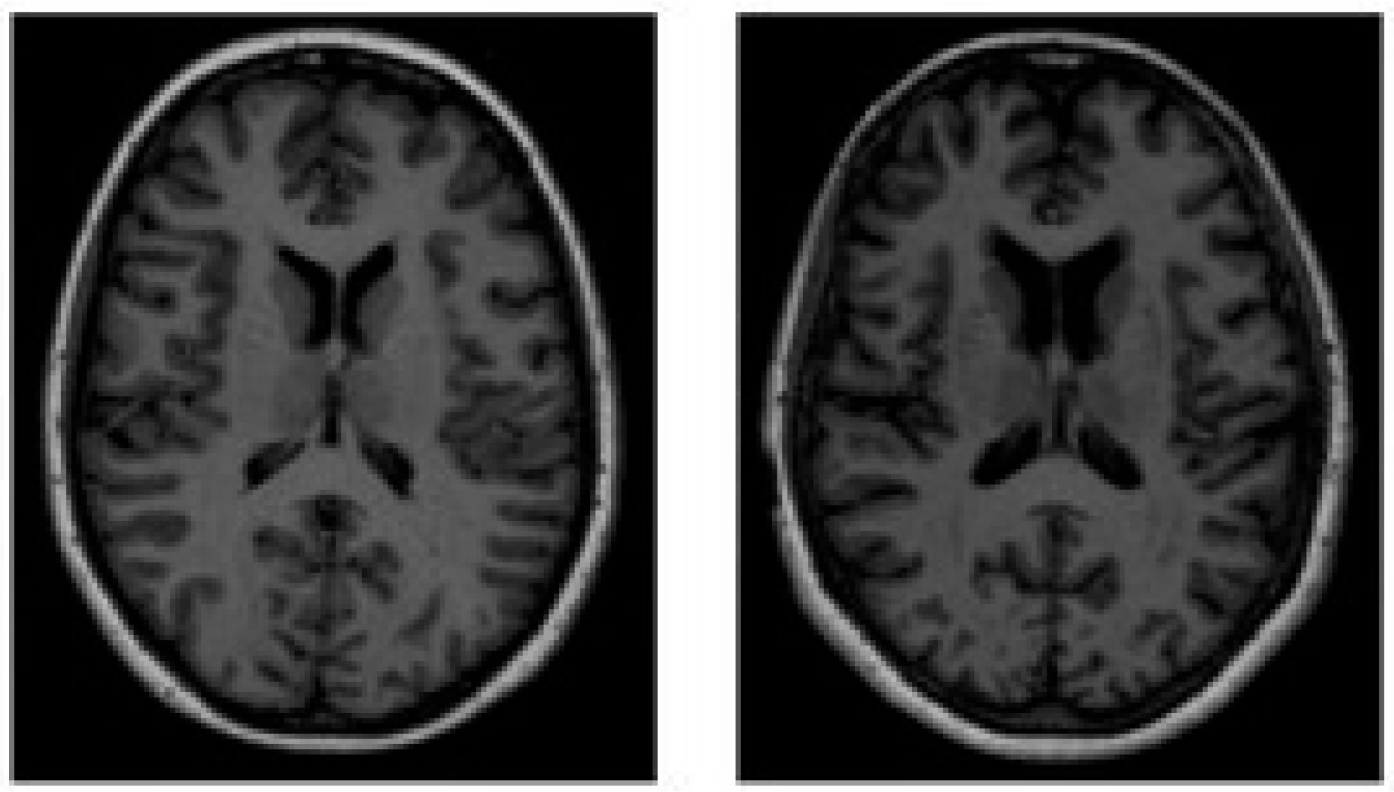 Diagnostics 15 03135 g002