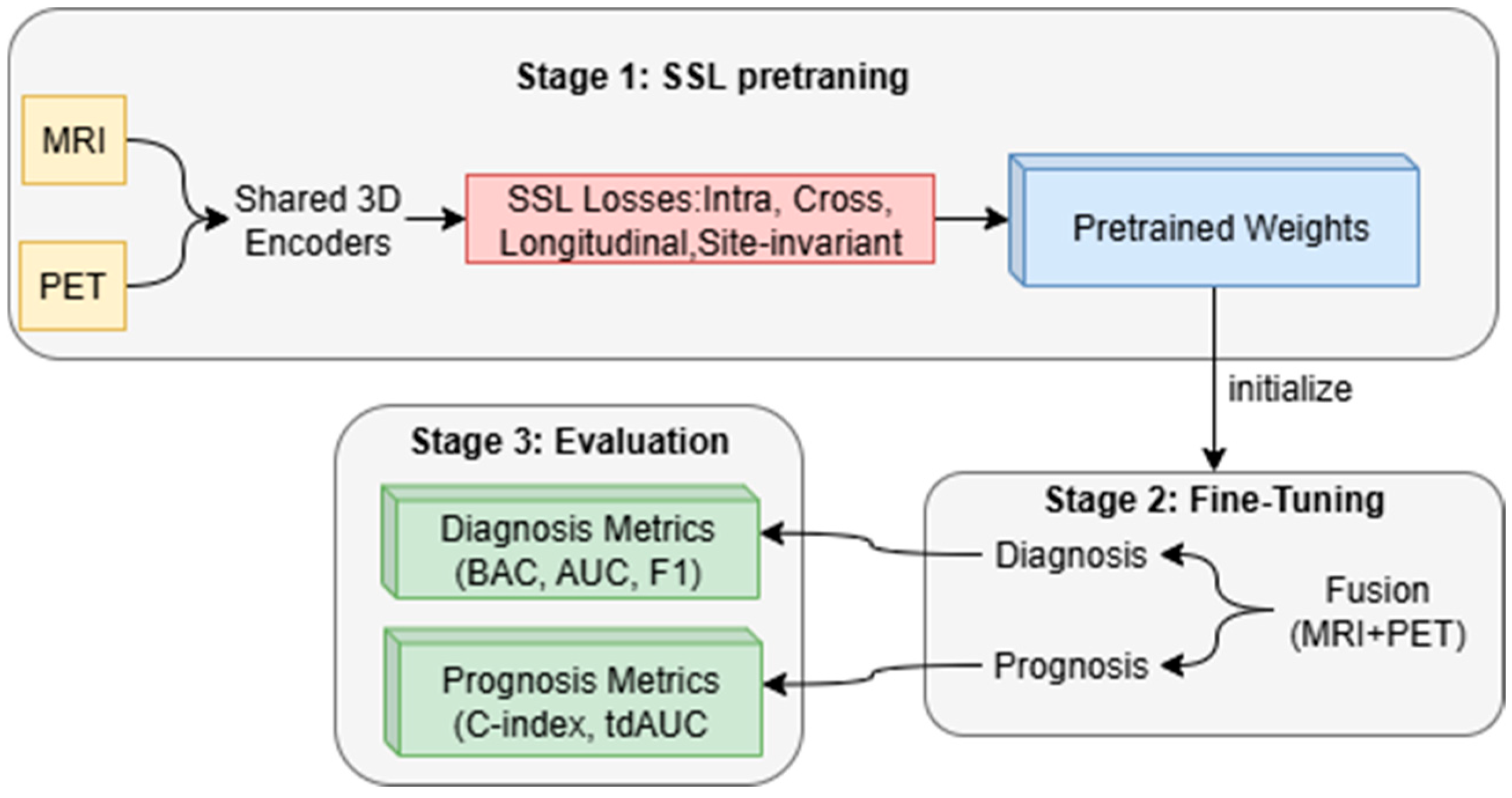 Diagnostics 15 03135 g003