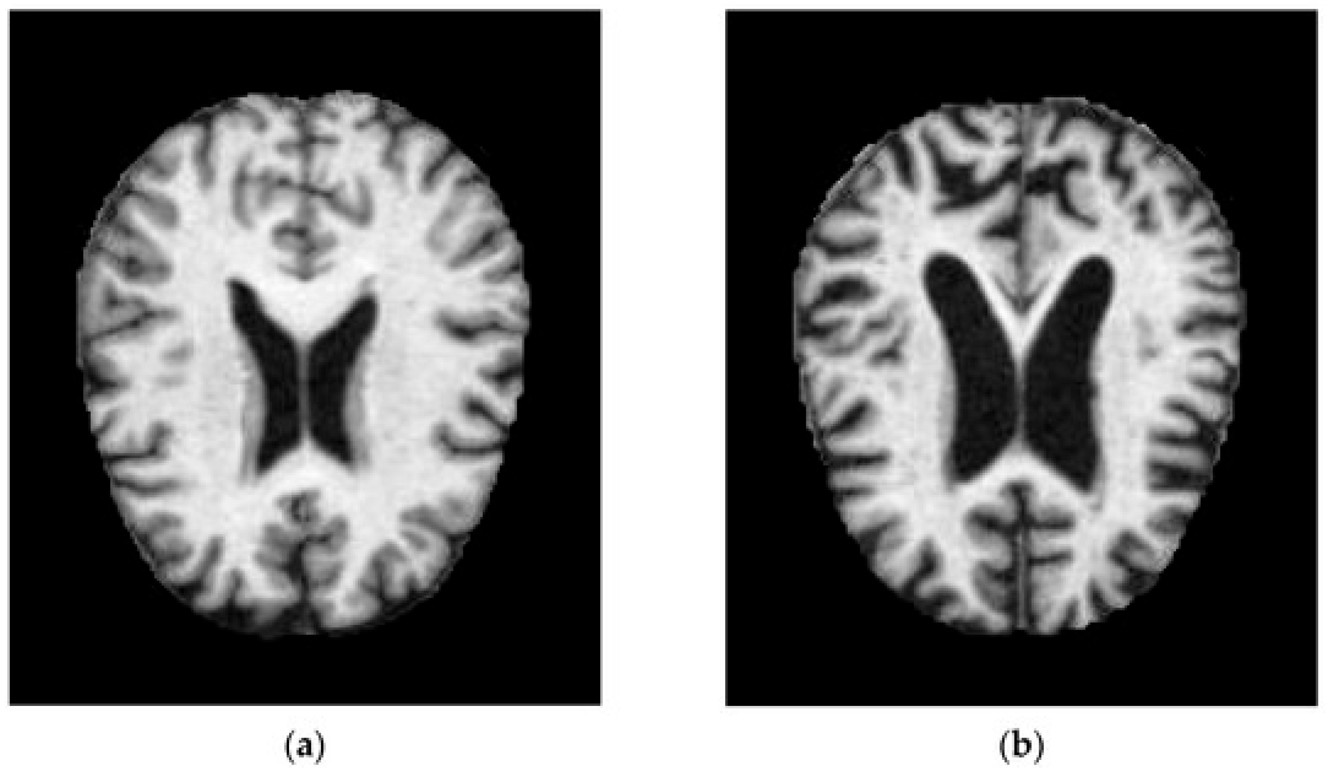 Diagnostics 15 03135 g008