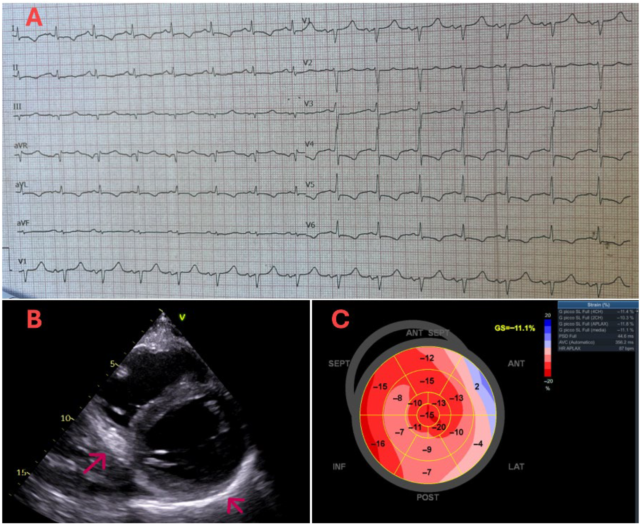Diagnostics 15 03136 g001
