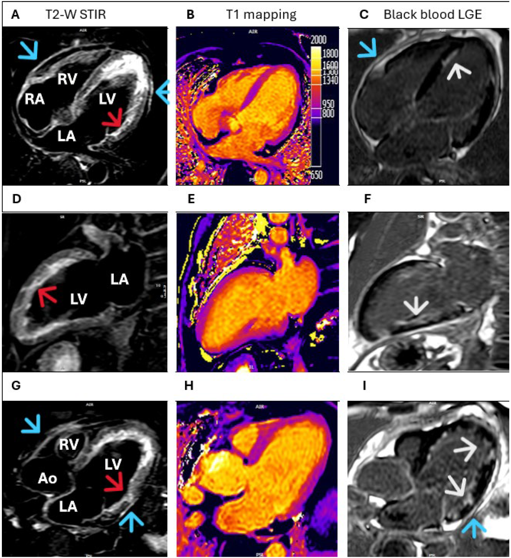 Diagnostics 15 03136 g002
