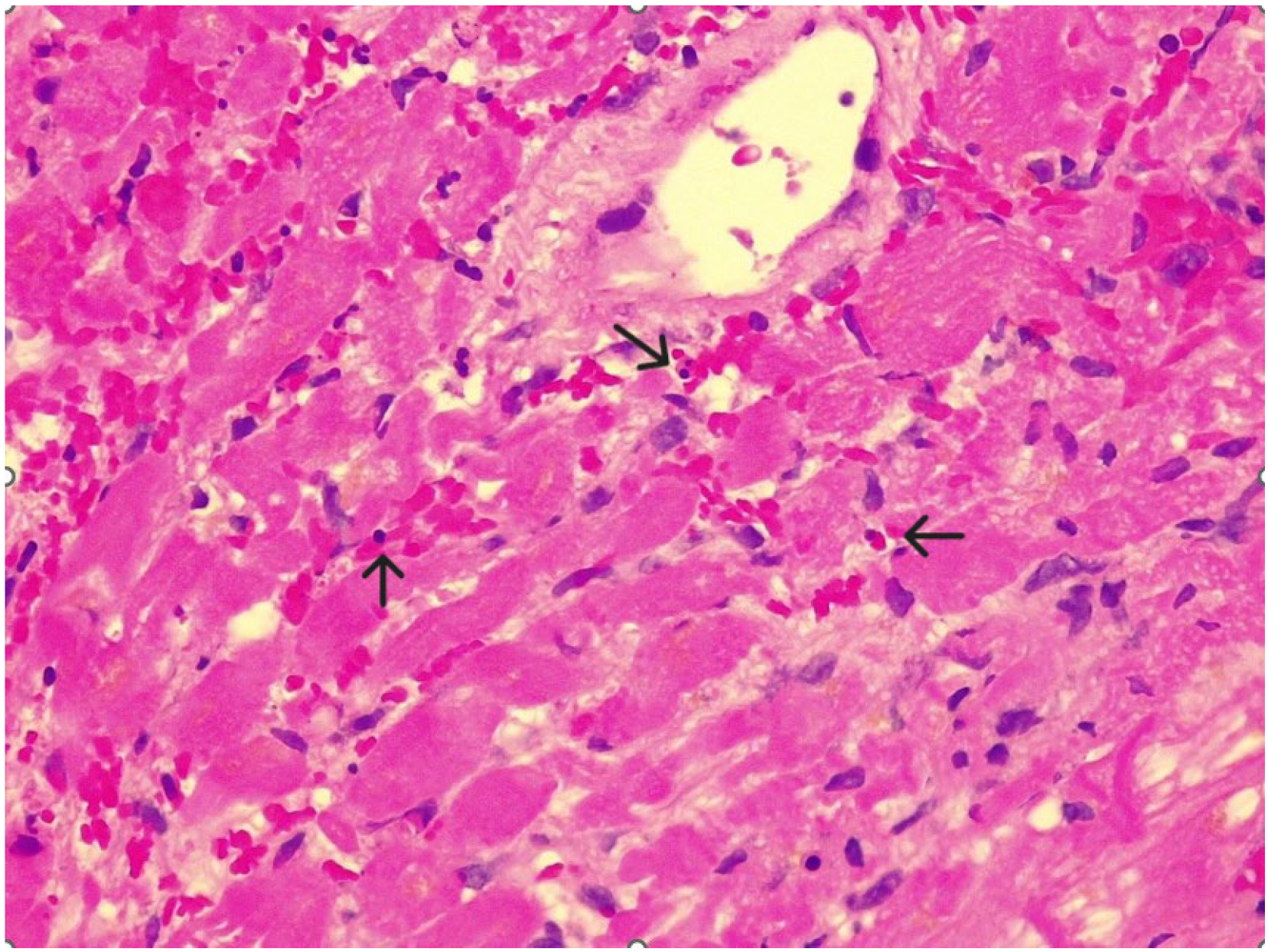 Diagnostics 15 03136 g003