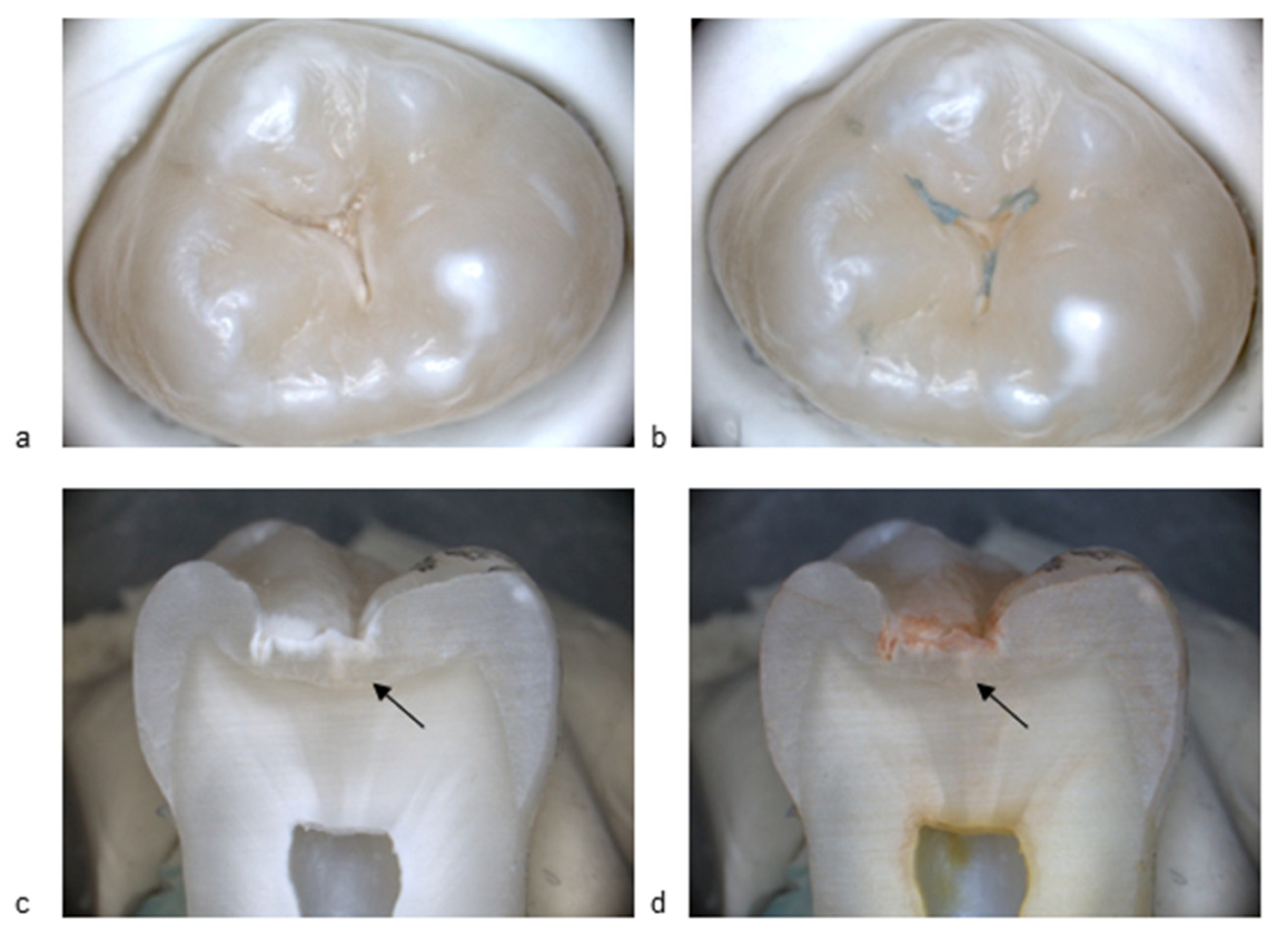 Diagnostics 15 03145 g002