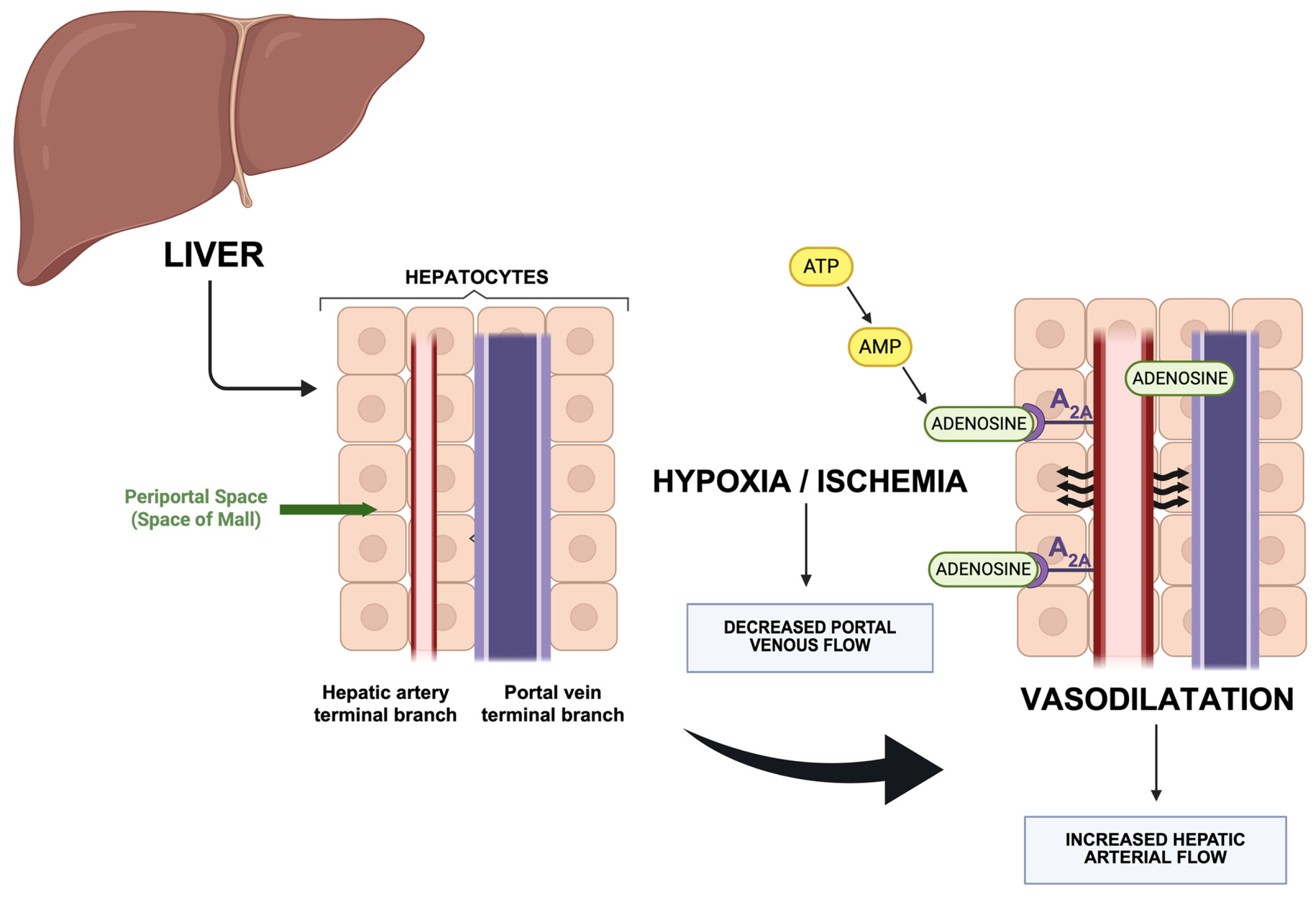Diagnostics 15 03147 g002