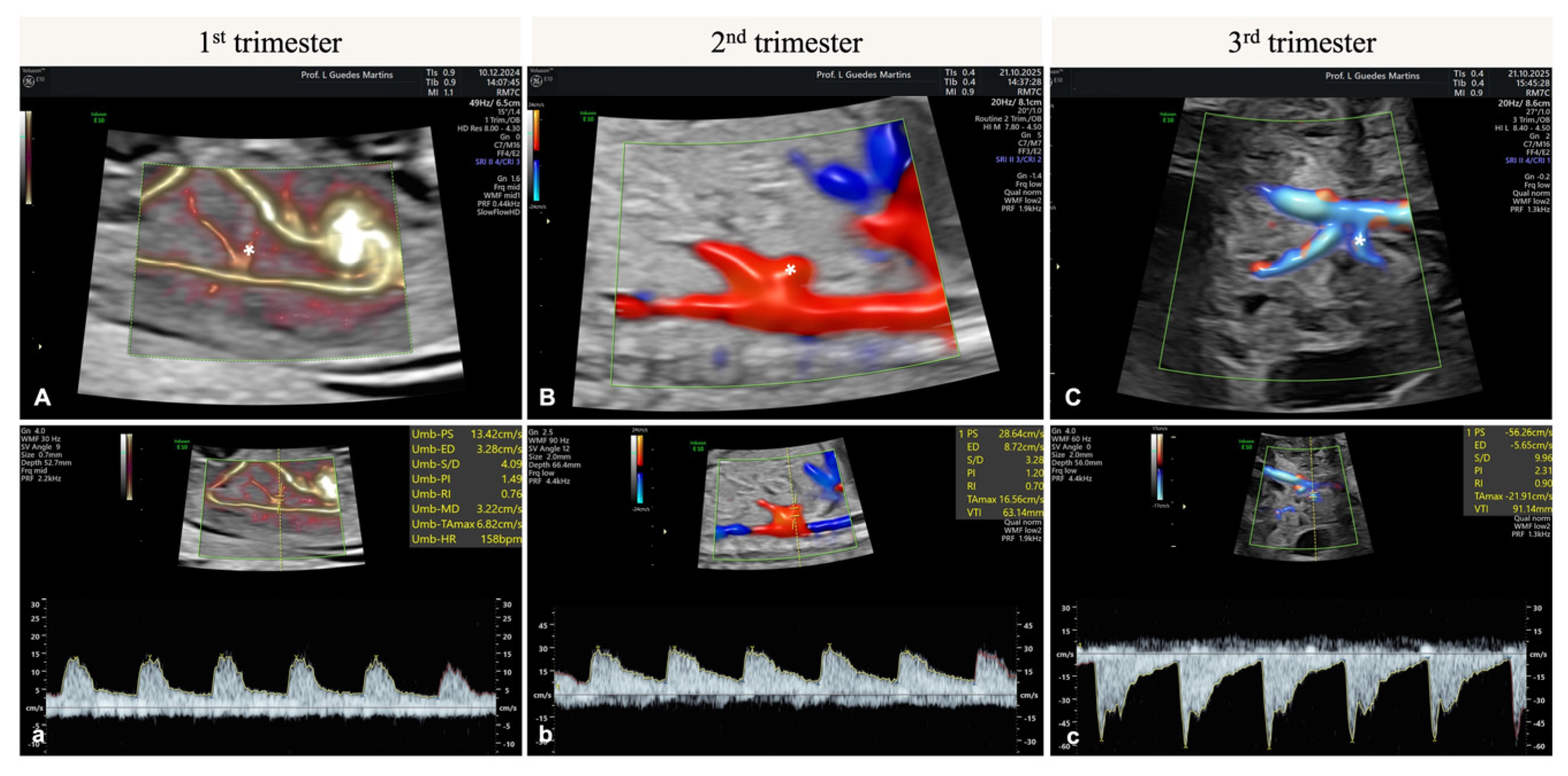 Diagnostics 15 03147 g003