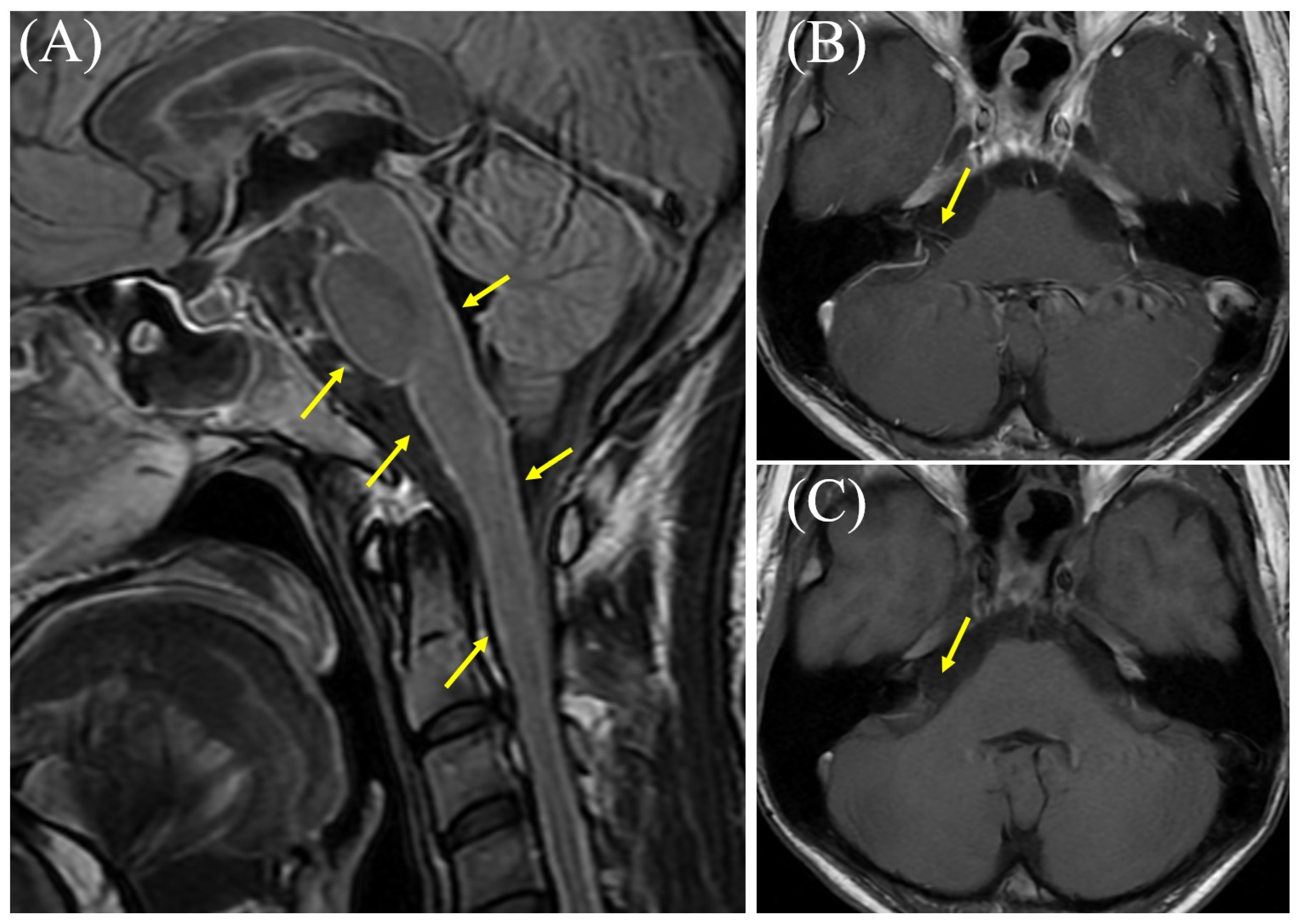 Diagnostics 15 03179 g001 Diagnostics 15 03179 g001