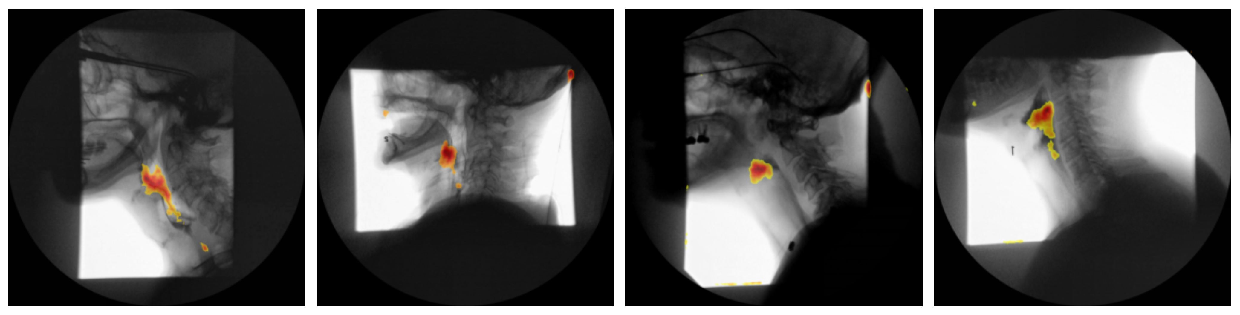 Diagnostics 15 03180 g005