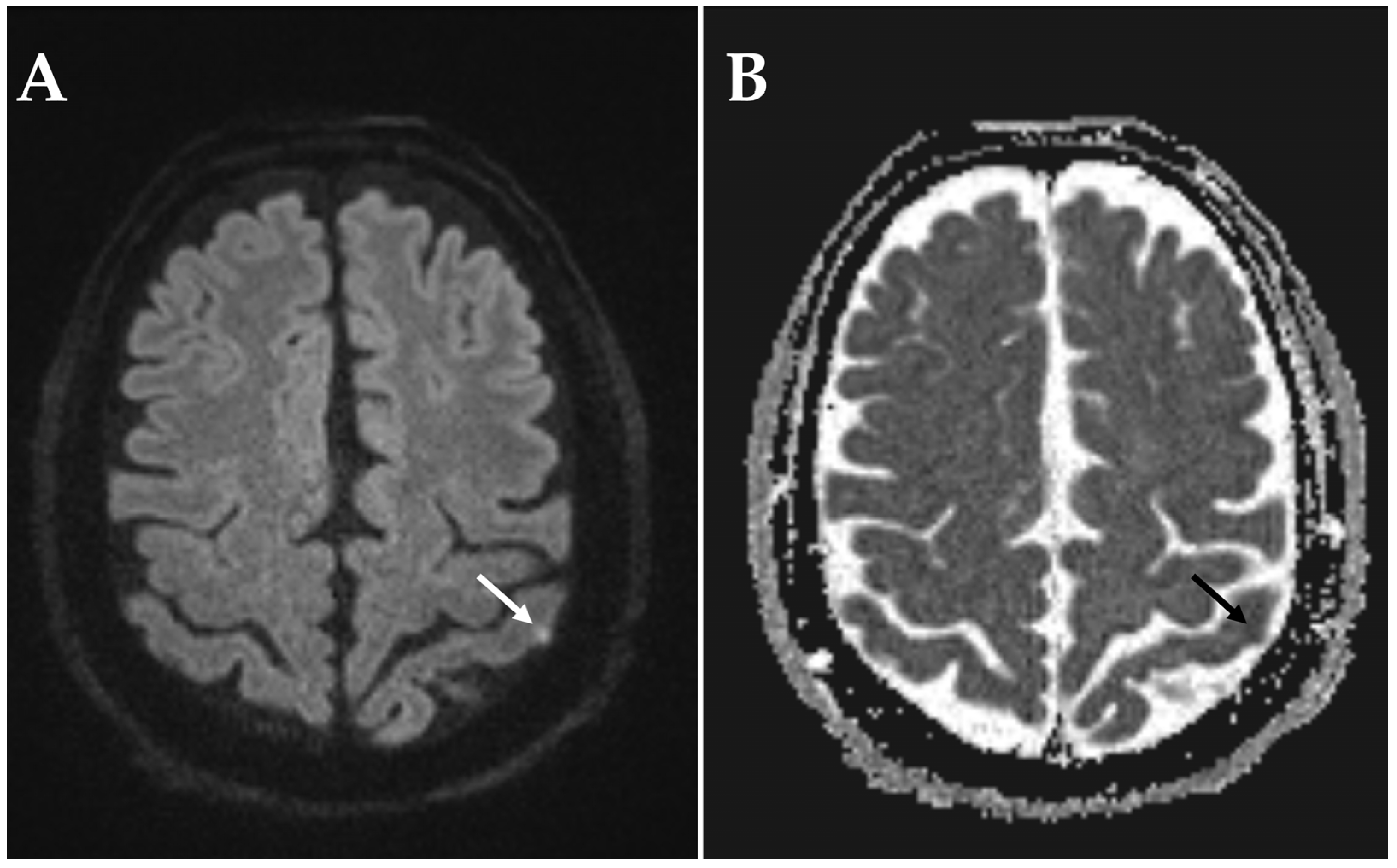 Diagnostics 15 03192 g003 Diagnostics 15 03192 g003