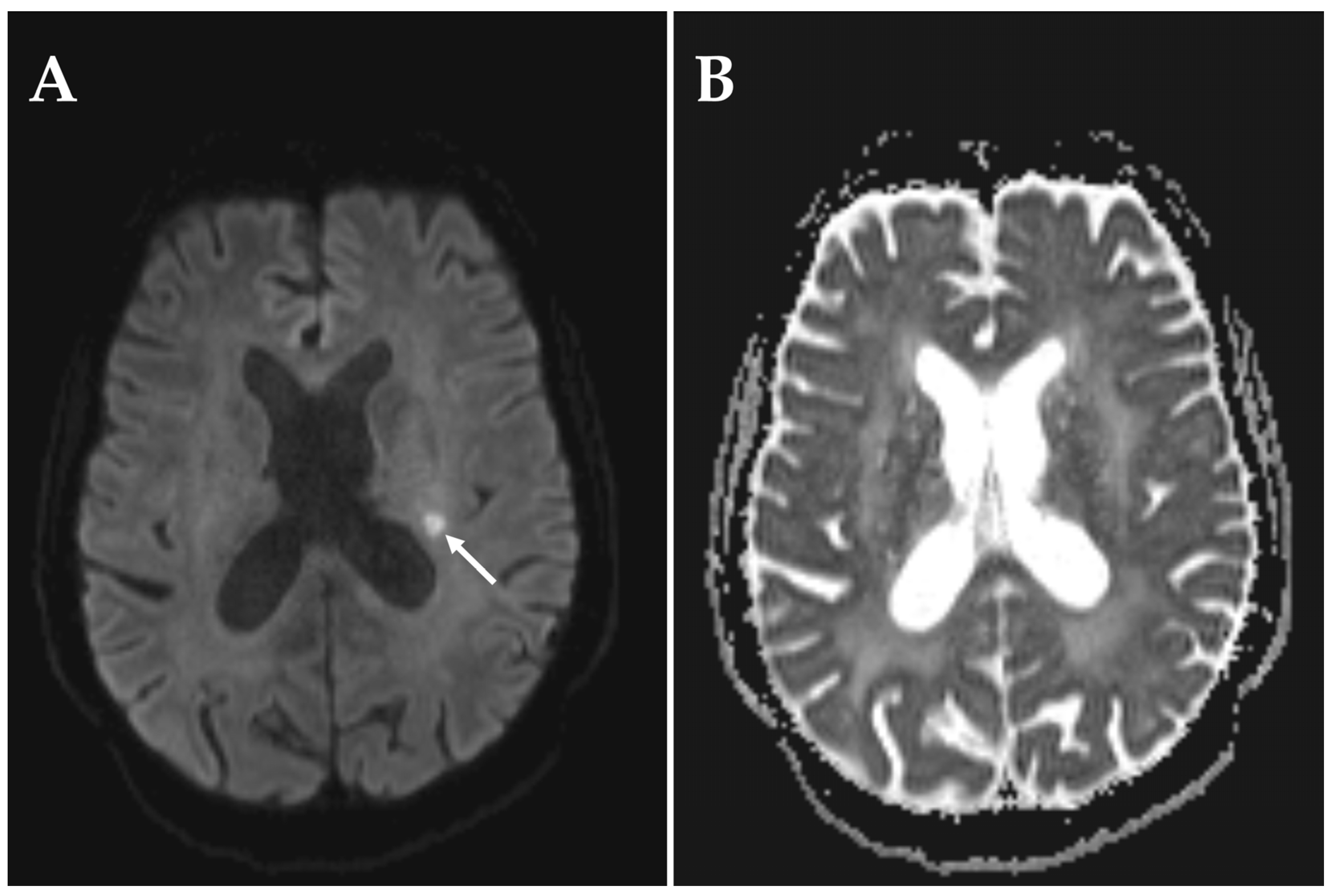Diagnostics 15 03192 g004 Diagnostics 15 03192 g004
