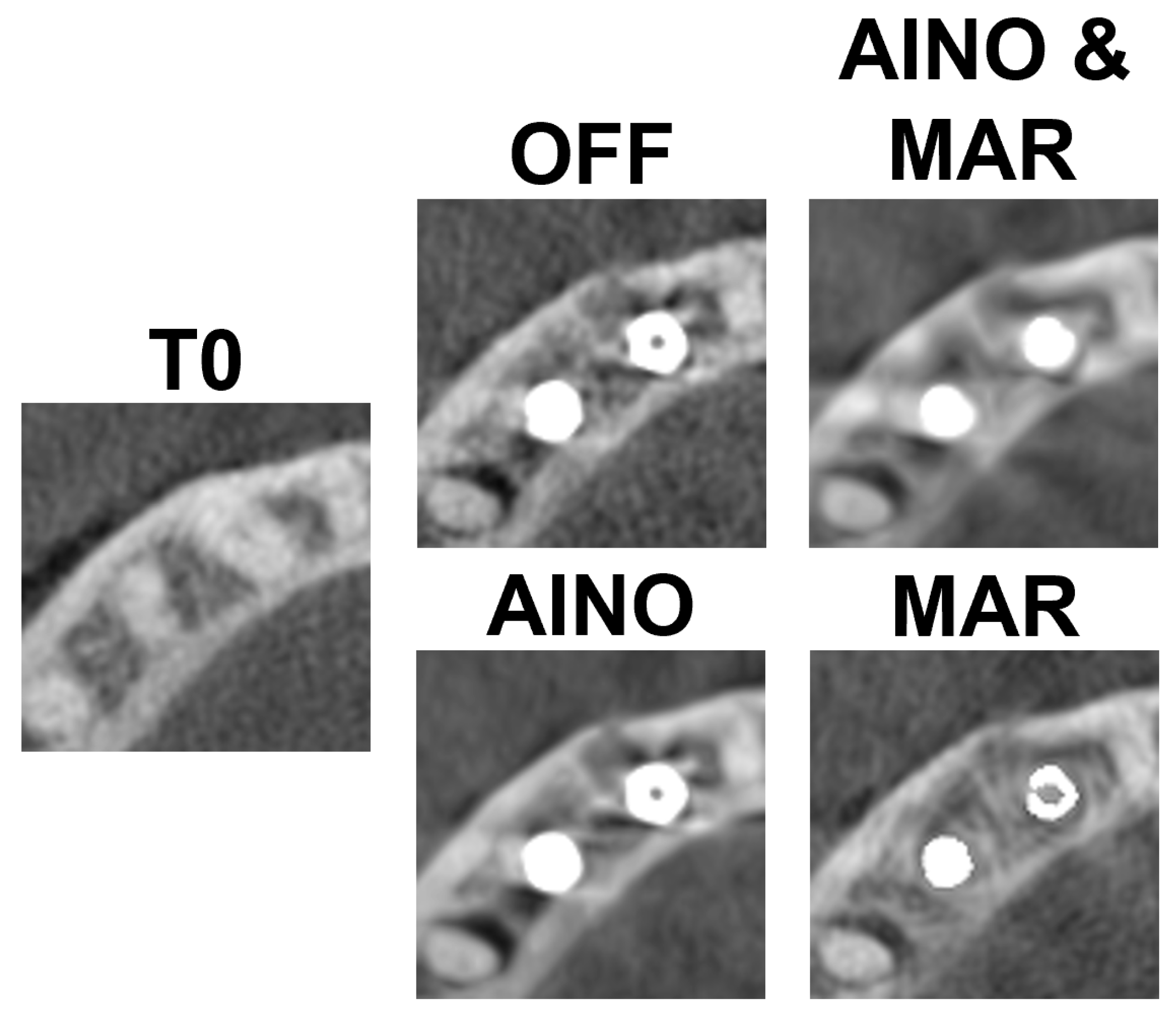 Diagnostics 15 03201 g003
