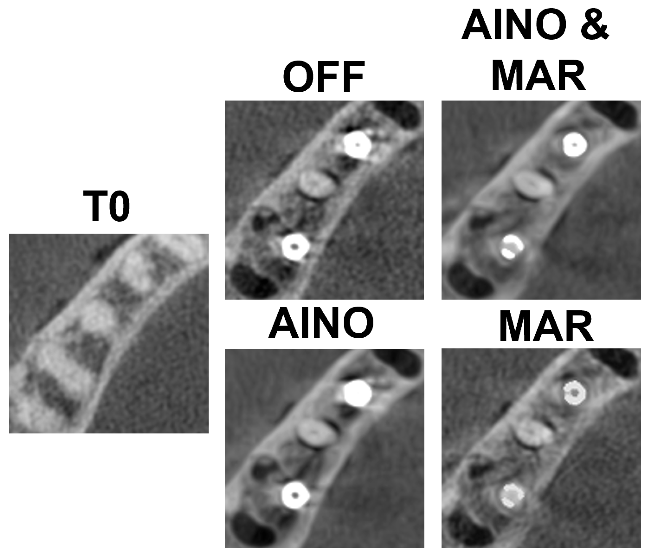 Diagnostics 15 03201 g004